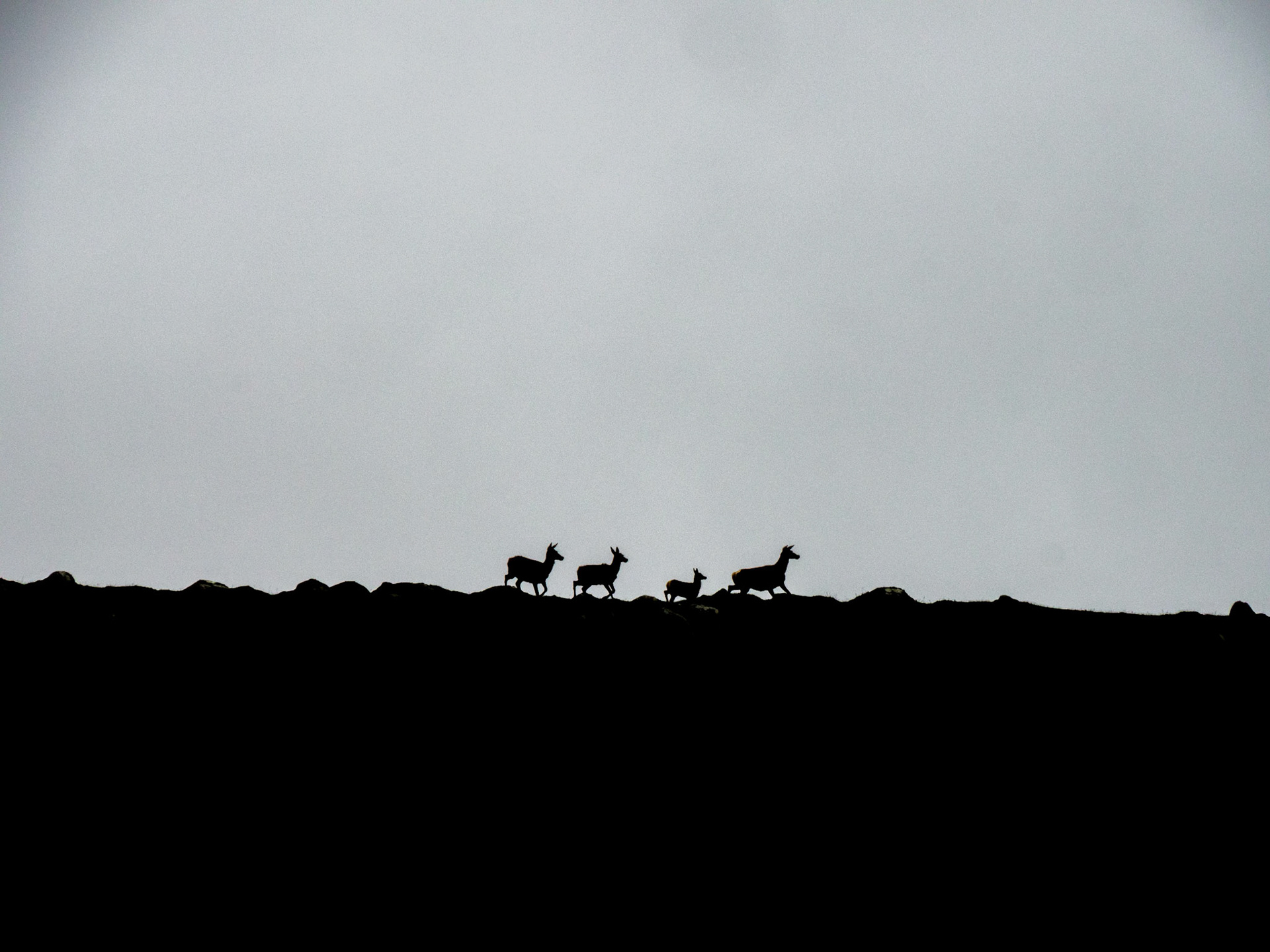 Wanderung zum Dubh Loch