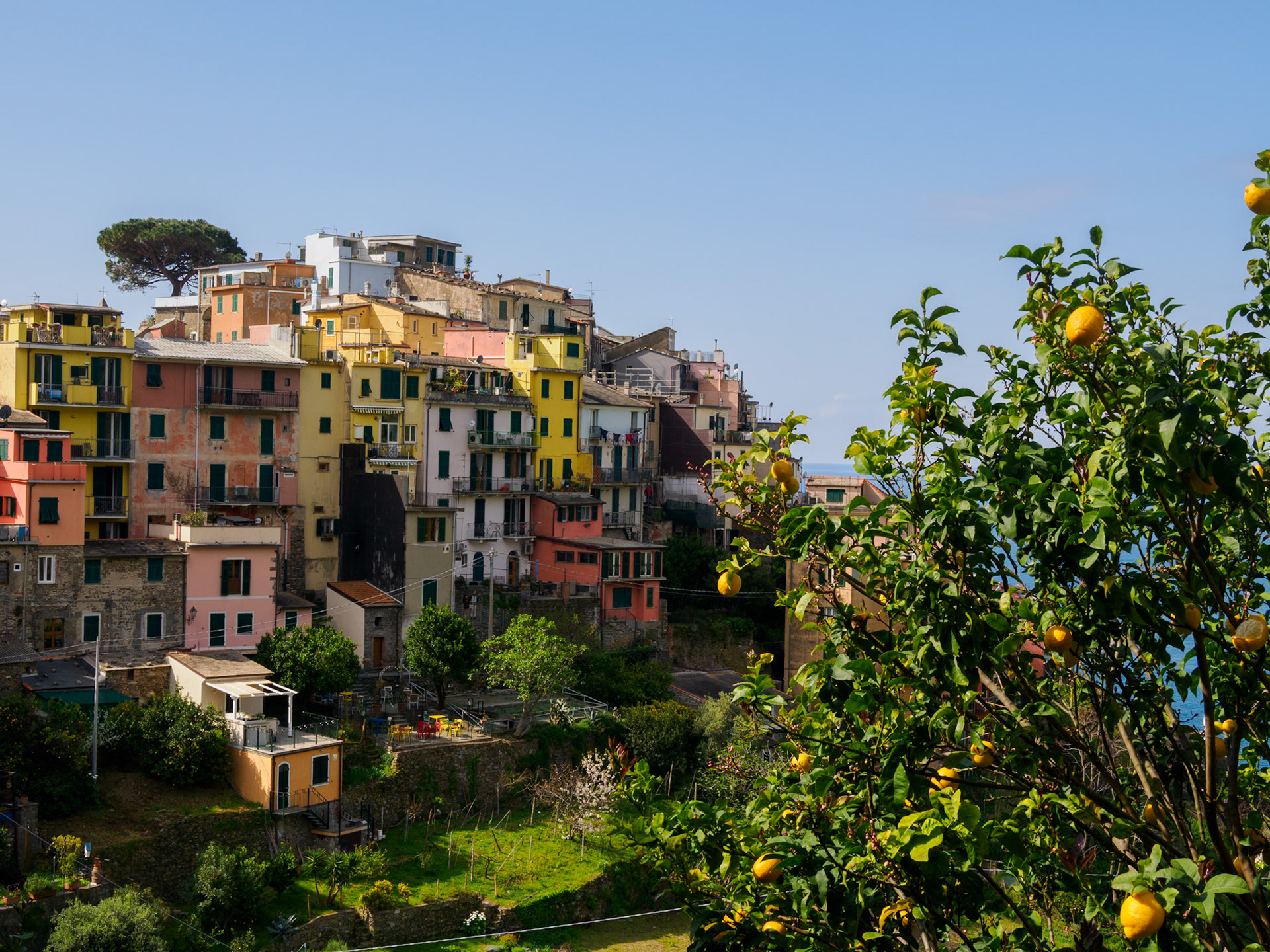 Corniglia