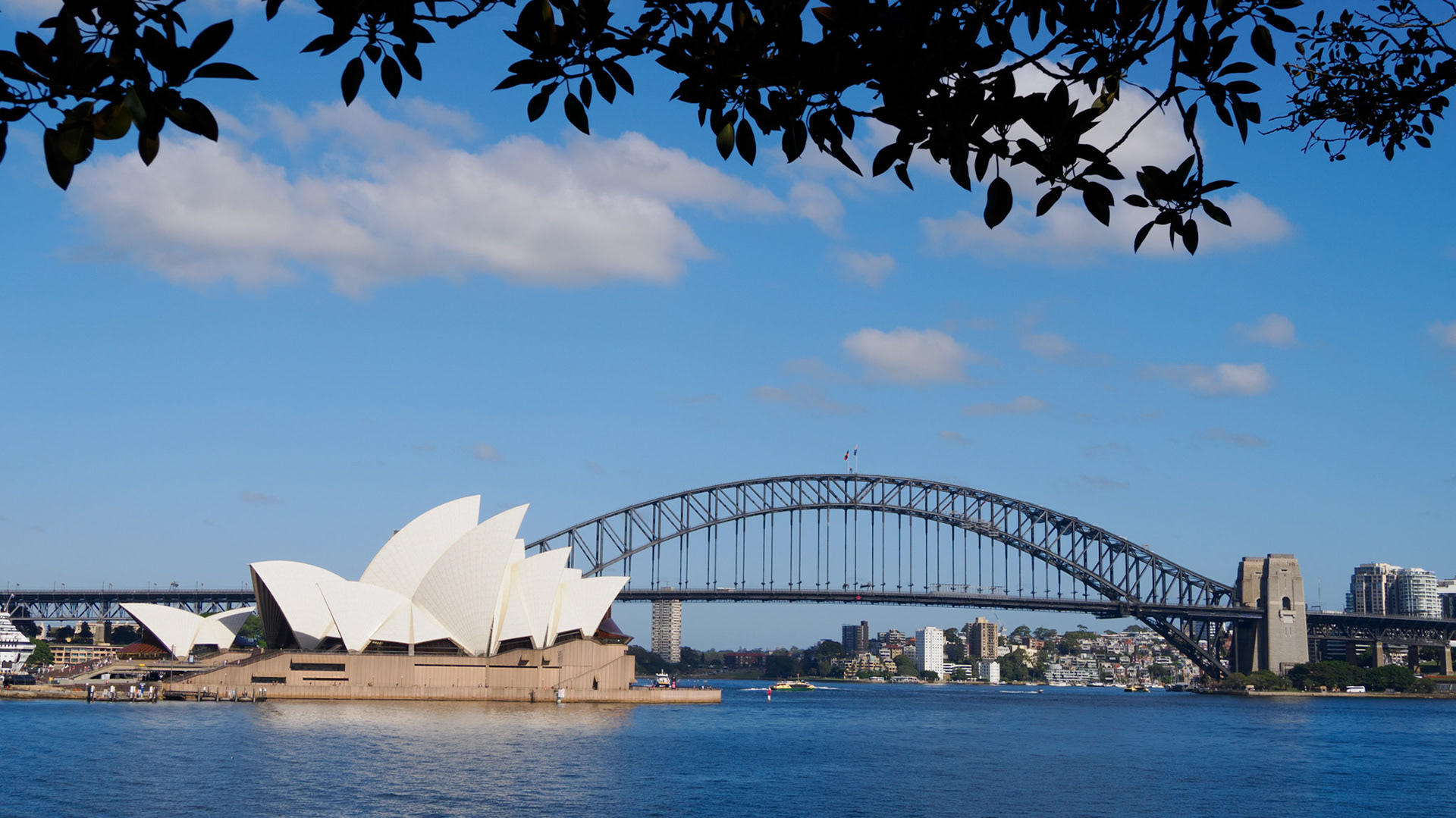 Blick von Mrs Macquaries Point auf die Harbour Bridge