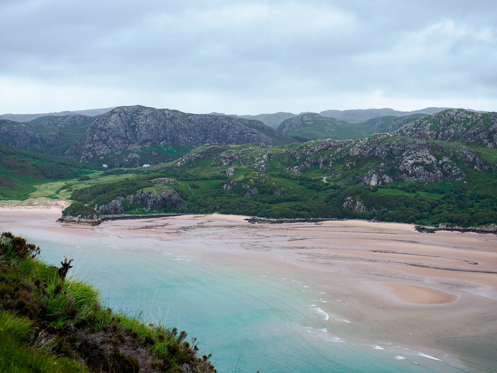 Gruinard Bay mit Ziege