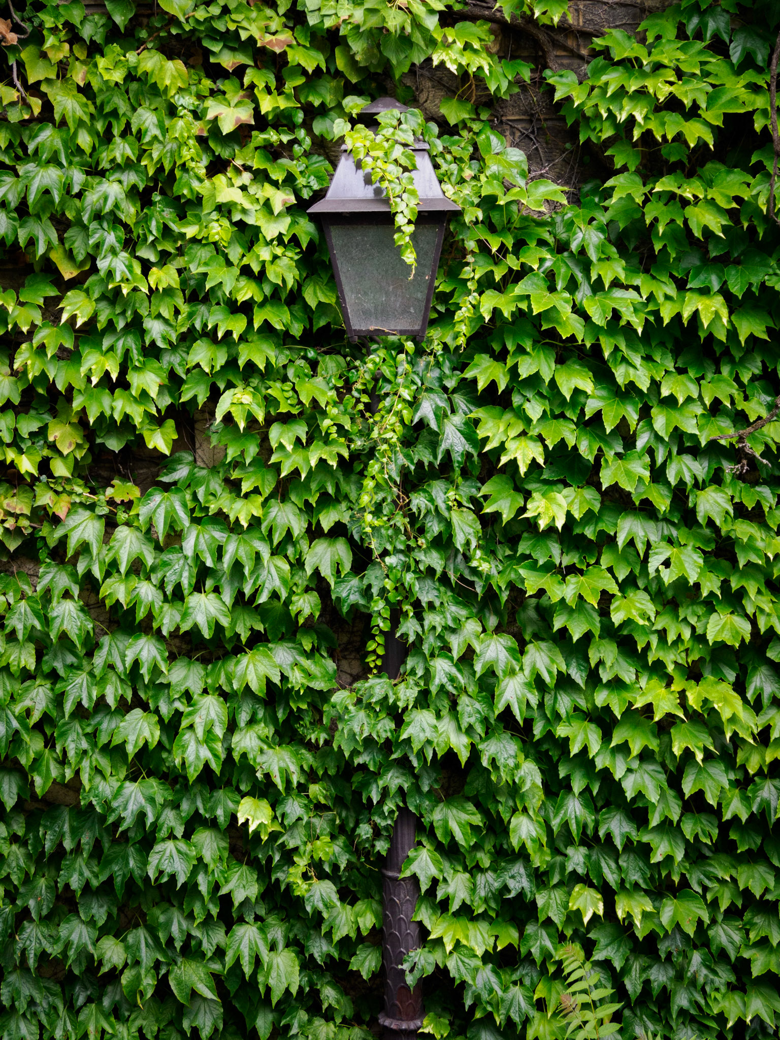 Beleuchtung in der Rue de l'Abreuvoir in Montmartre
