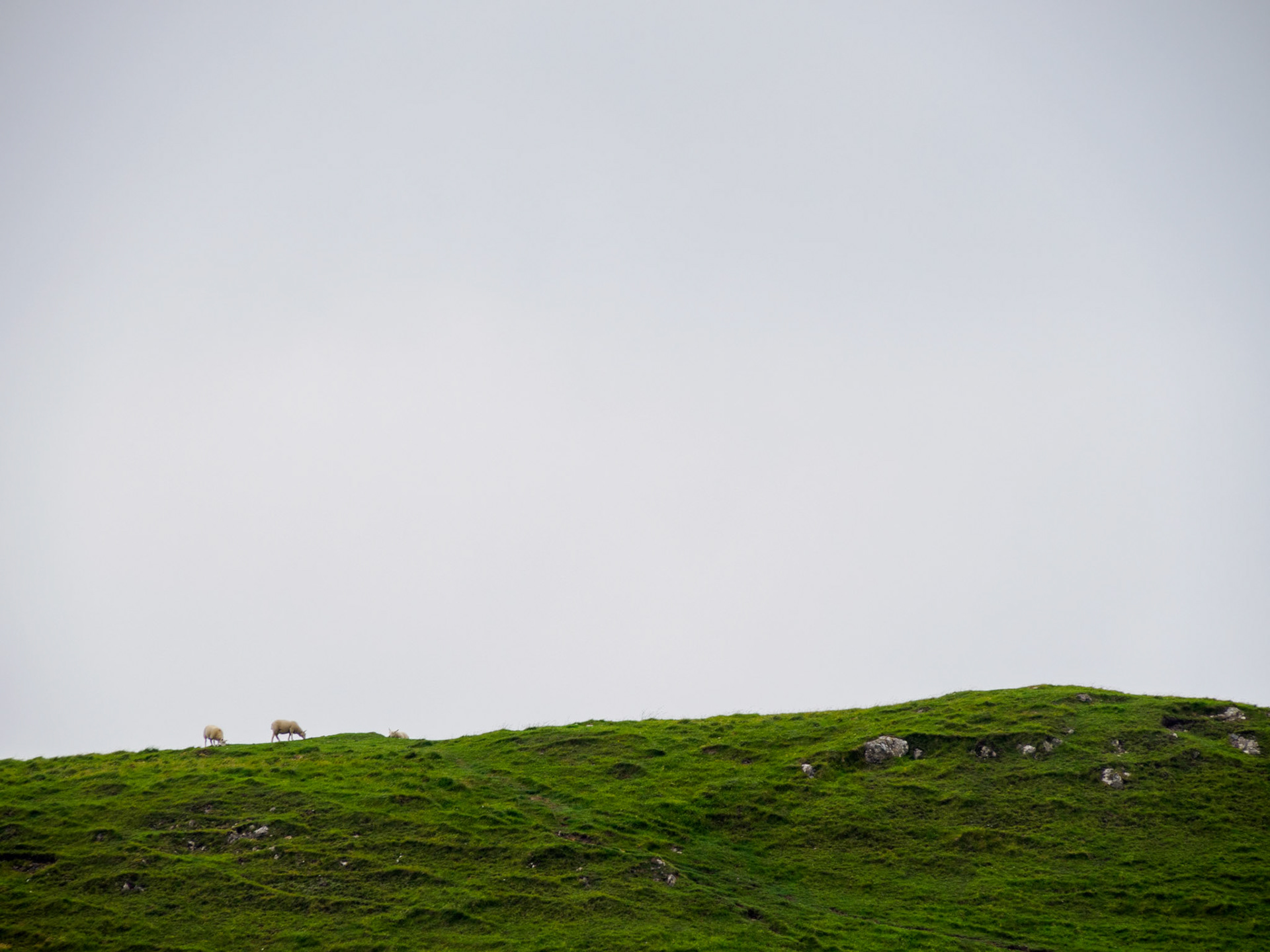 Oronsay - Isle of Skye