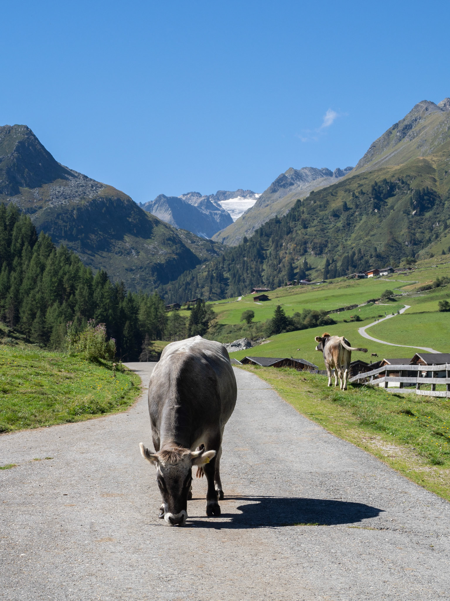 Aufbruch bei der Seduck-Alm