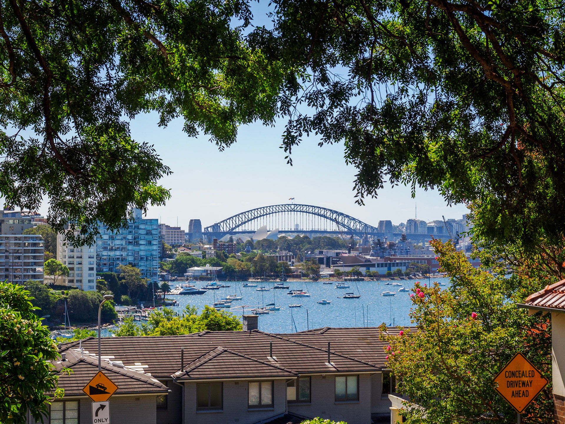 Blick von Darling Point auf die Harbour Bridge