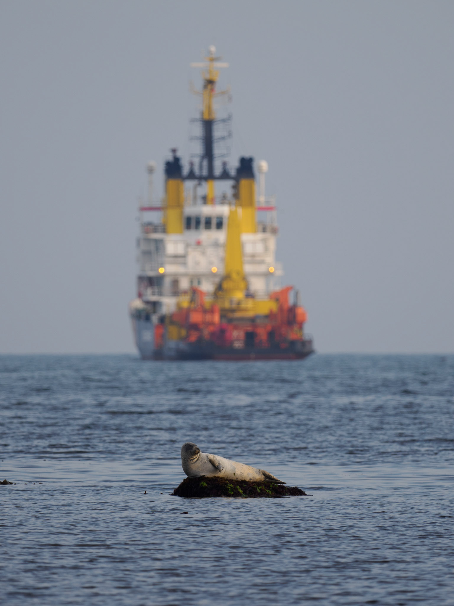 Robe vor dem Hochsee-Bergungsschlepper 'Nordic'