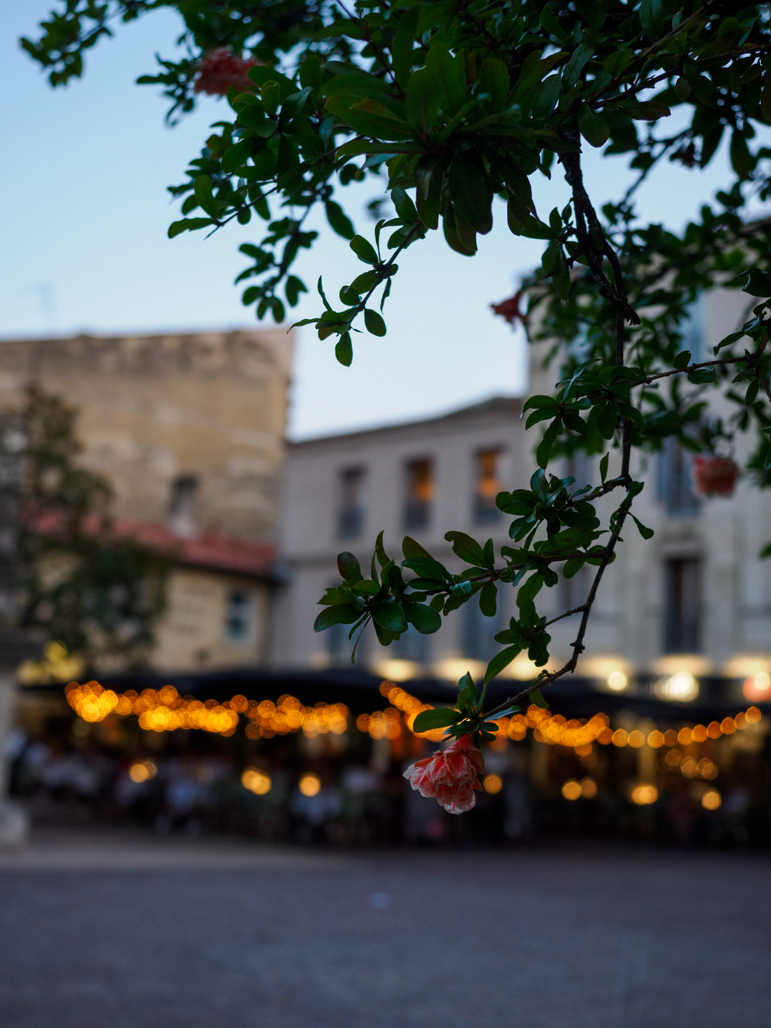 Abendstimmung am Place Meynard
