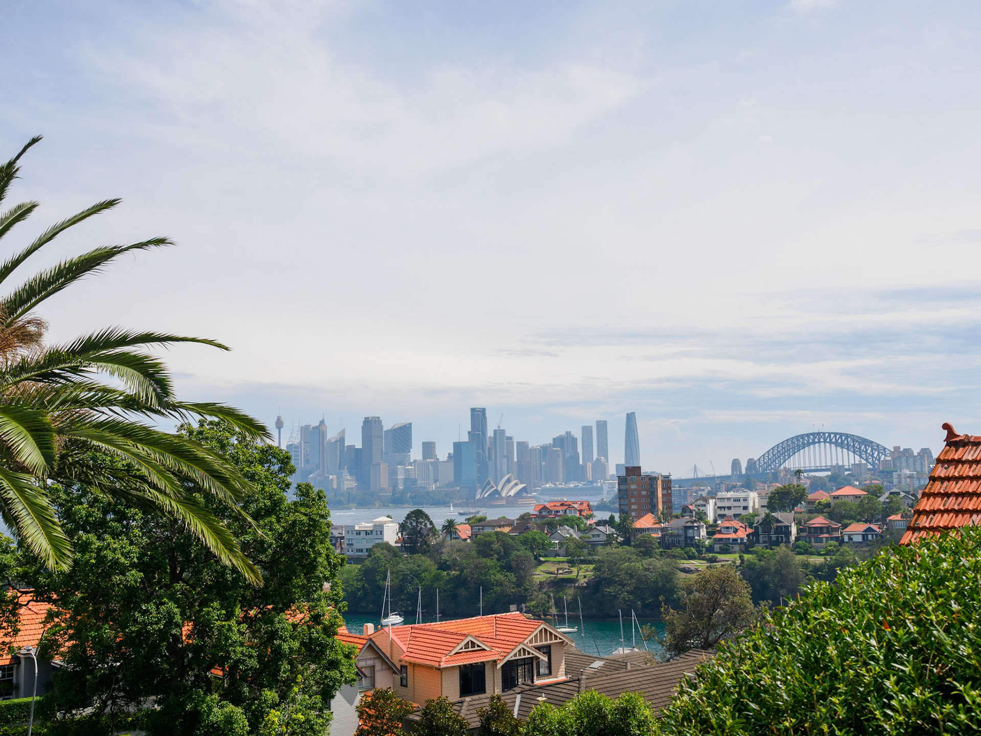 Blick aus dem Cremorne Reserve