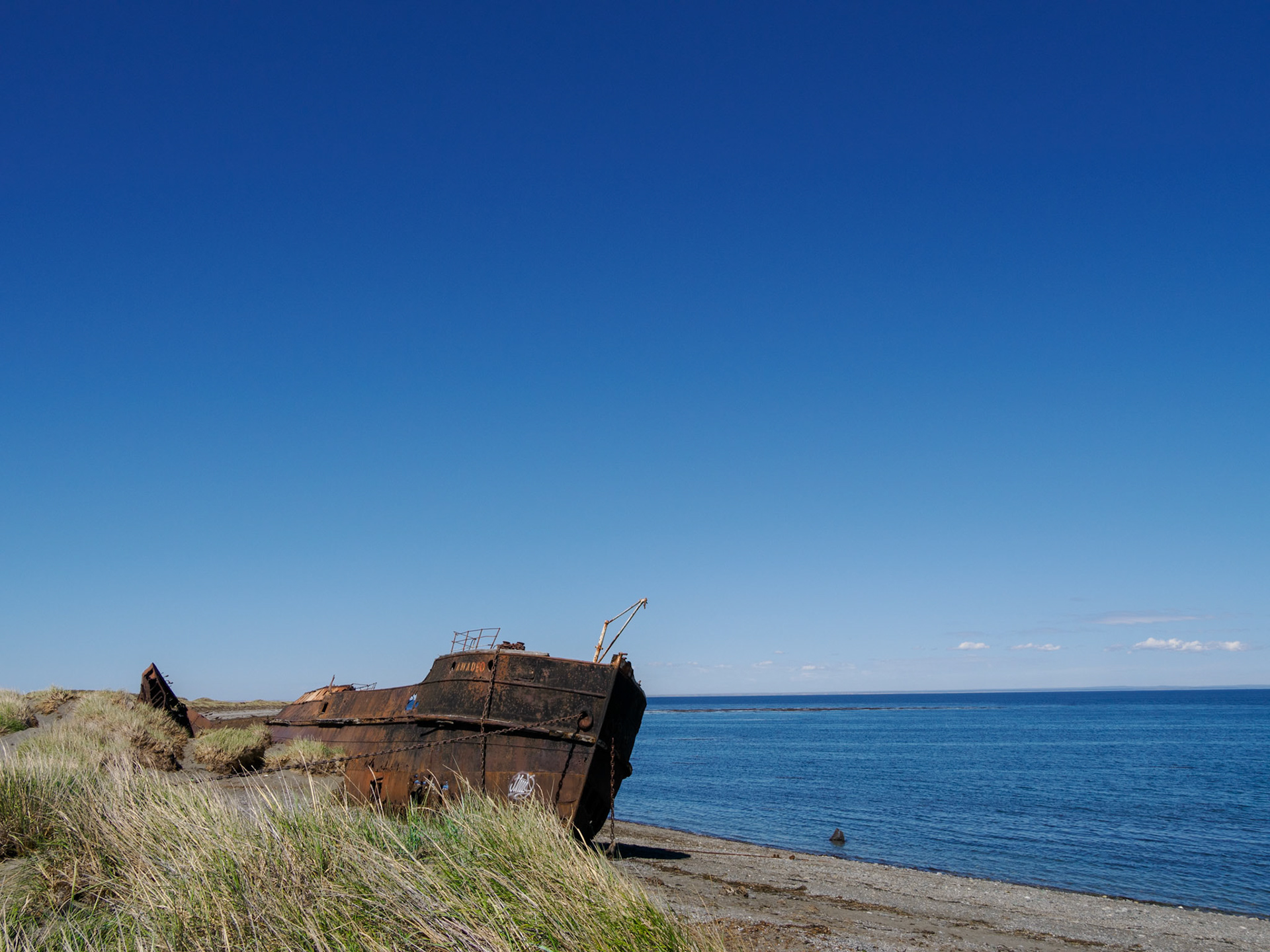 Schiffswrack 'Amadeo' an der Magellanstraße