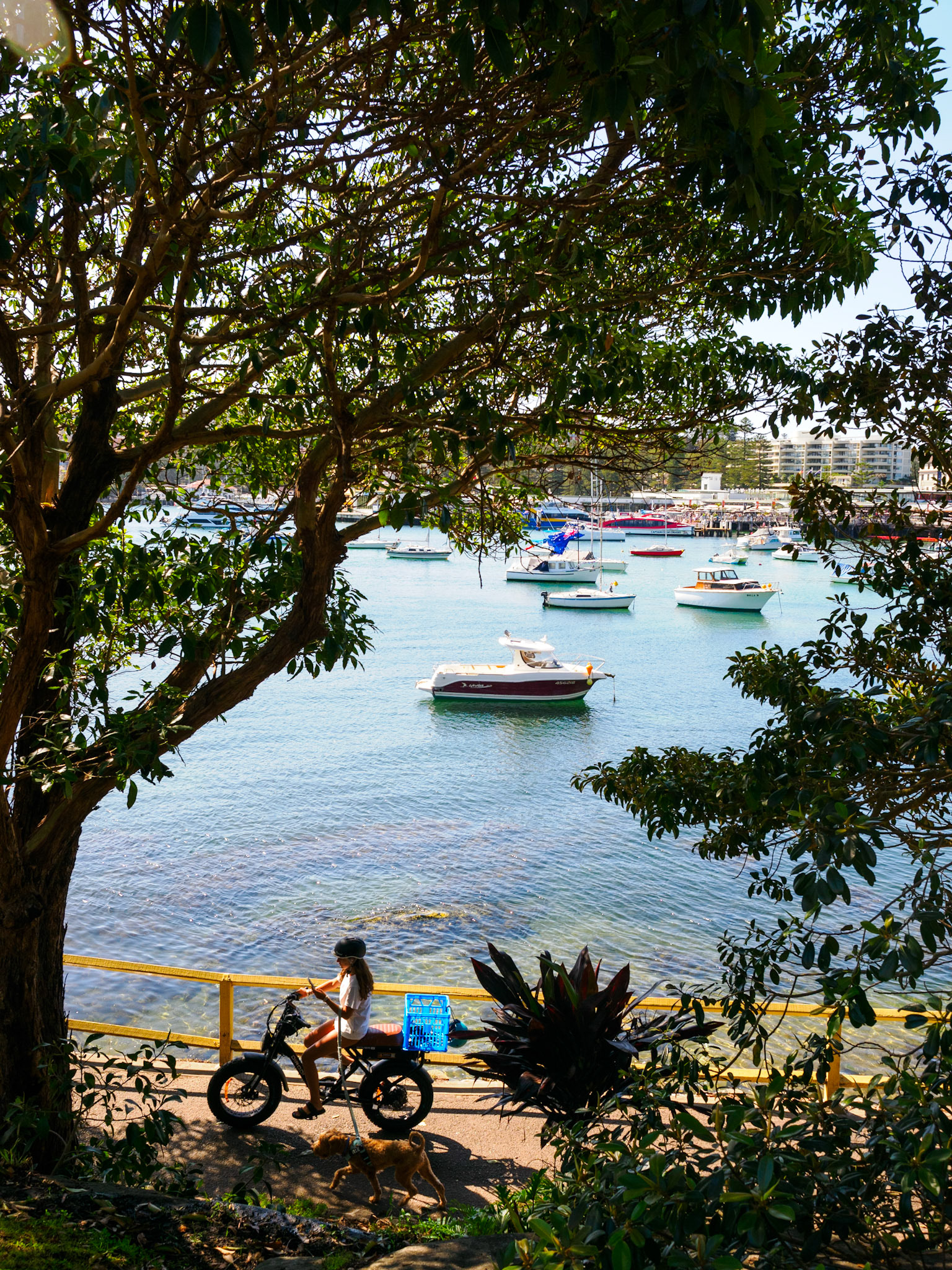 Radfahrerin in Manly
