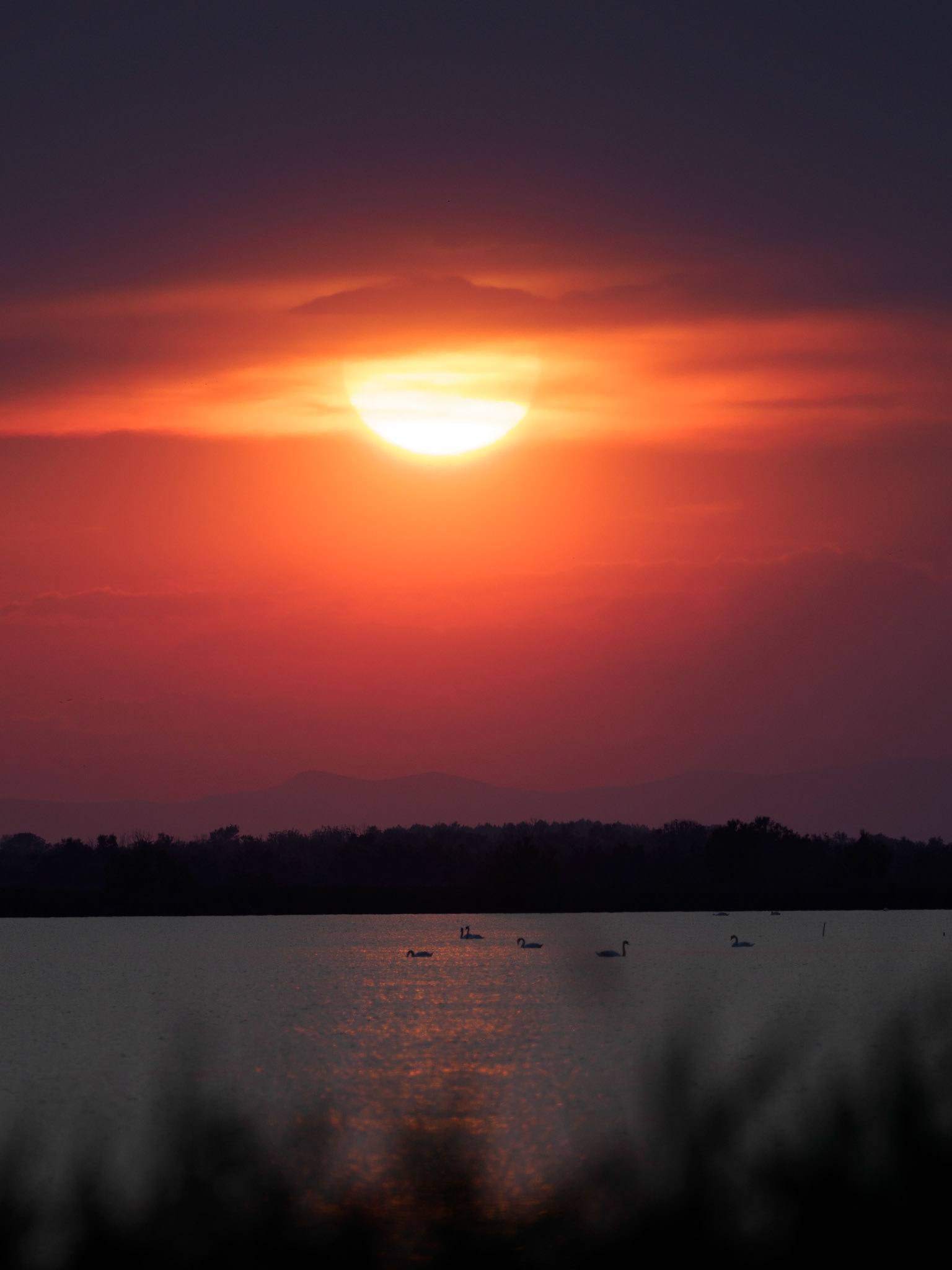Sonnenuntergang über der Étang des Launes