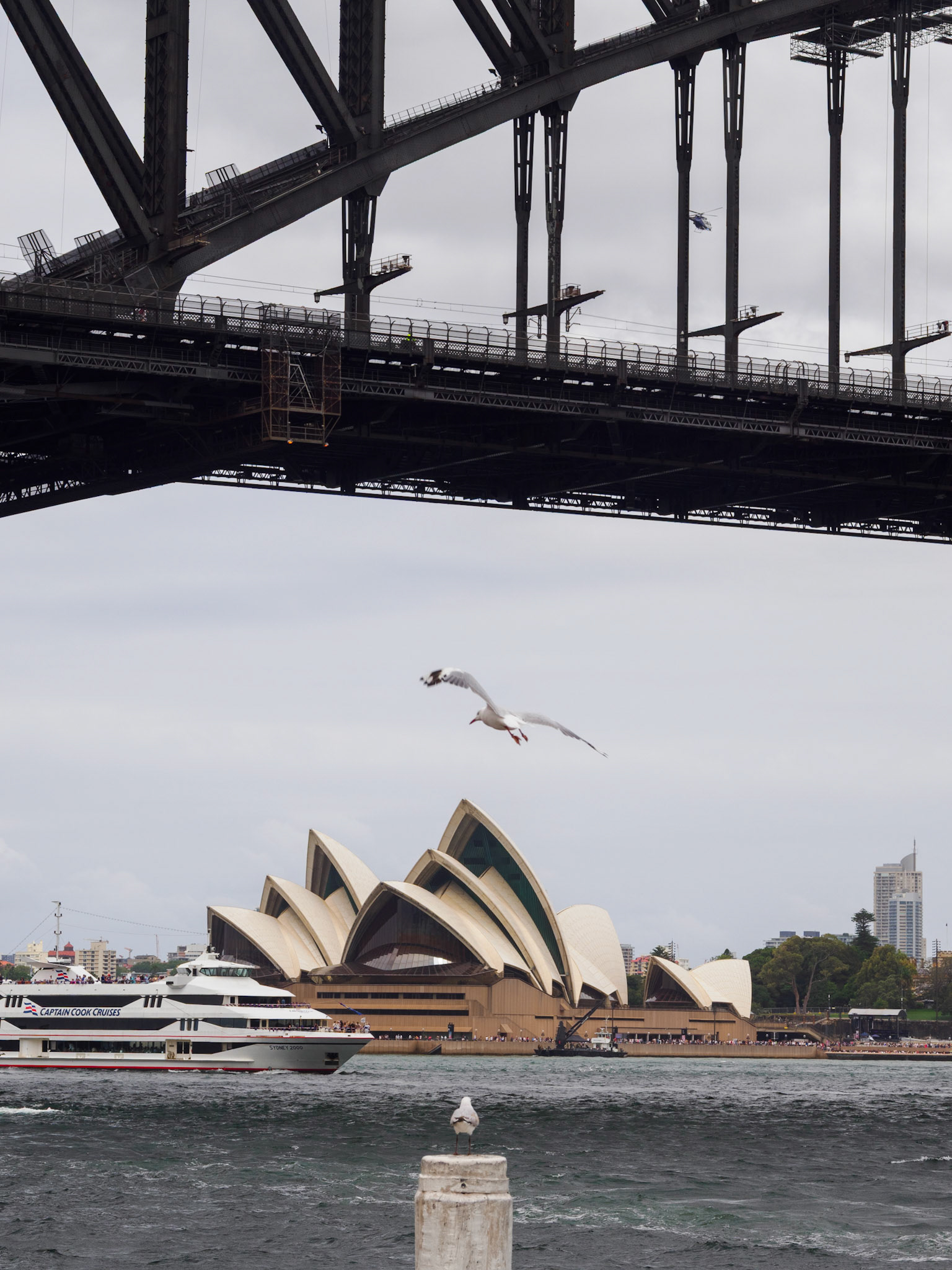 Harbour Bridge &amp; Sydney Opera House
