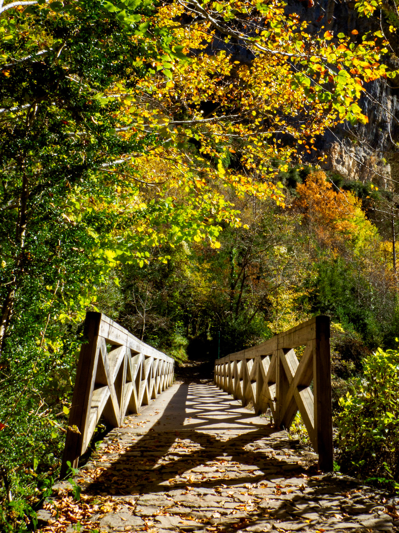Brücke im Cañon de Añisclo