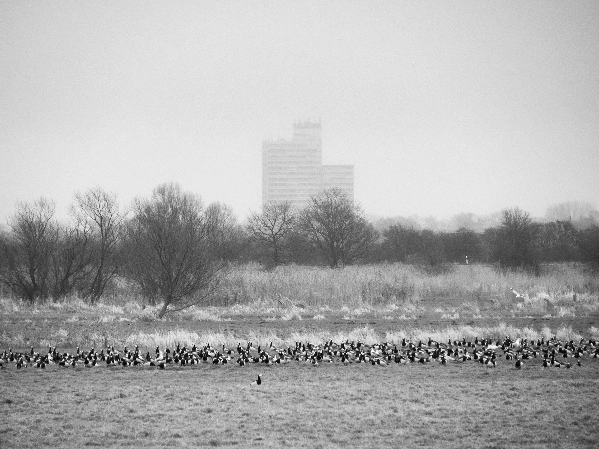 Naturschutzgebiet Barsbeker See