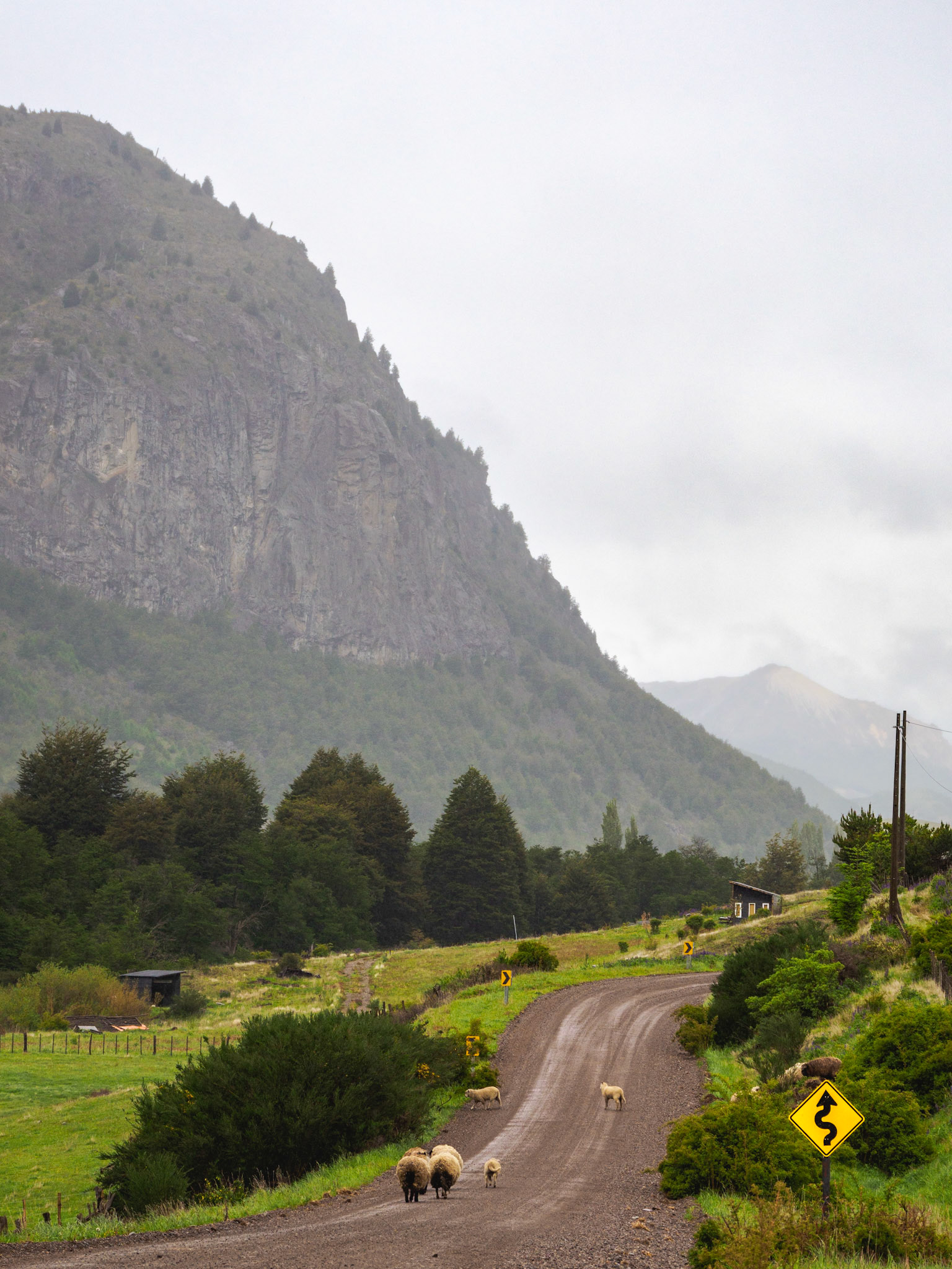 Schafe, Schotter, Schlangenlinien