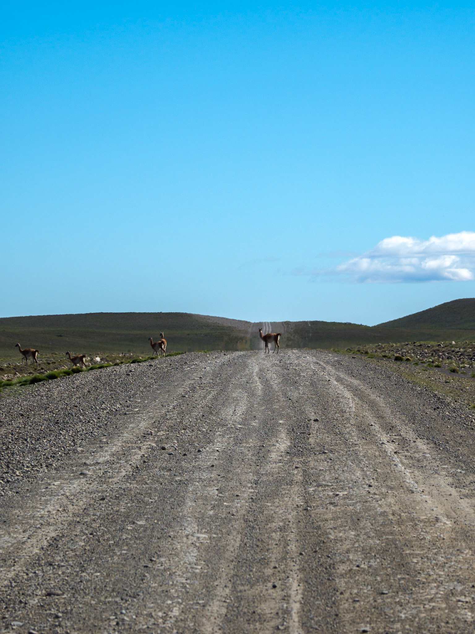 Schotterpiste bei Tapi Aike