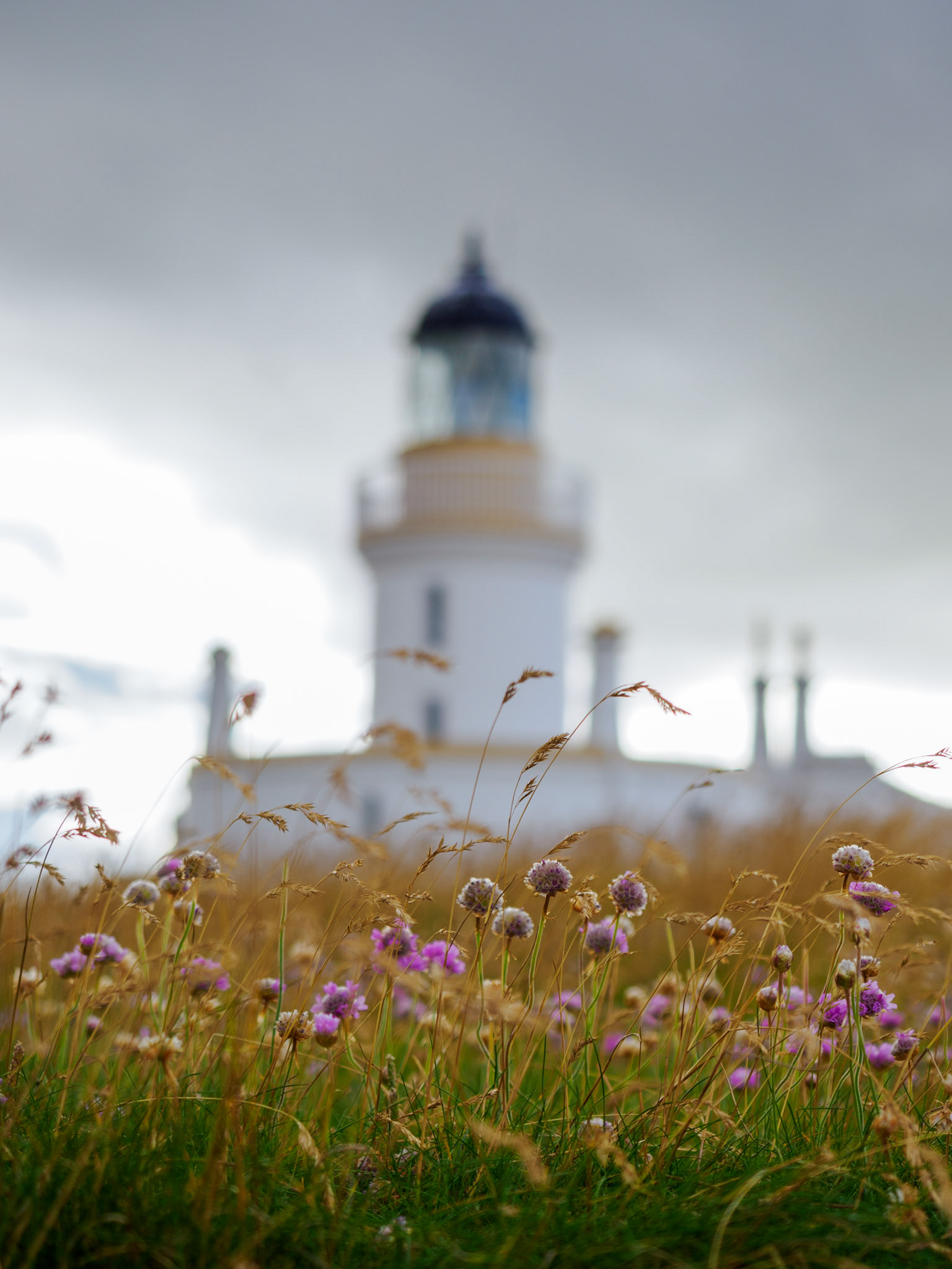 Fortrose und Rosemarkie