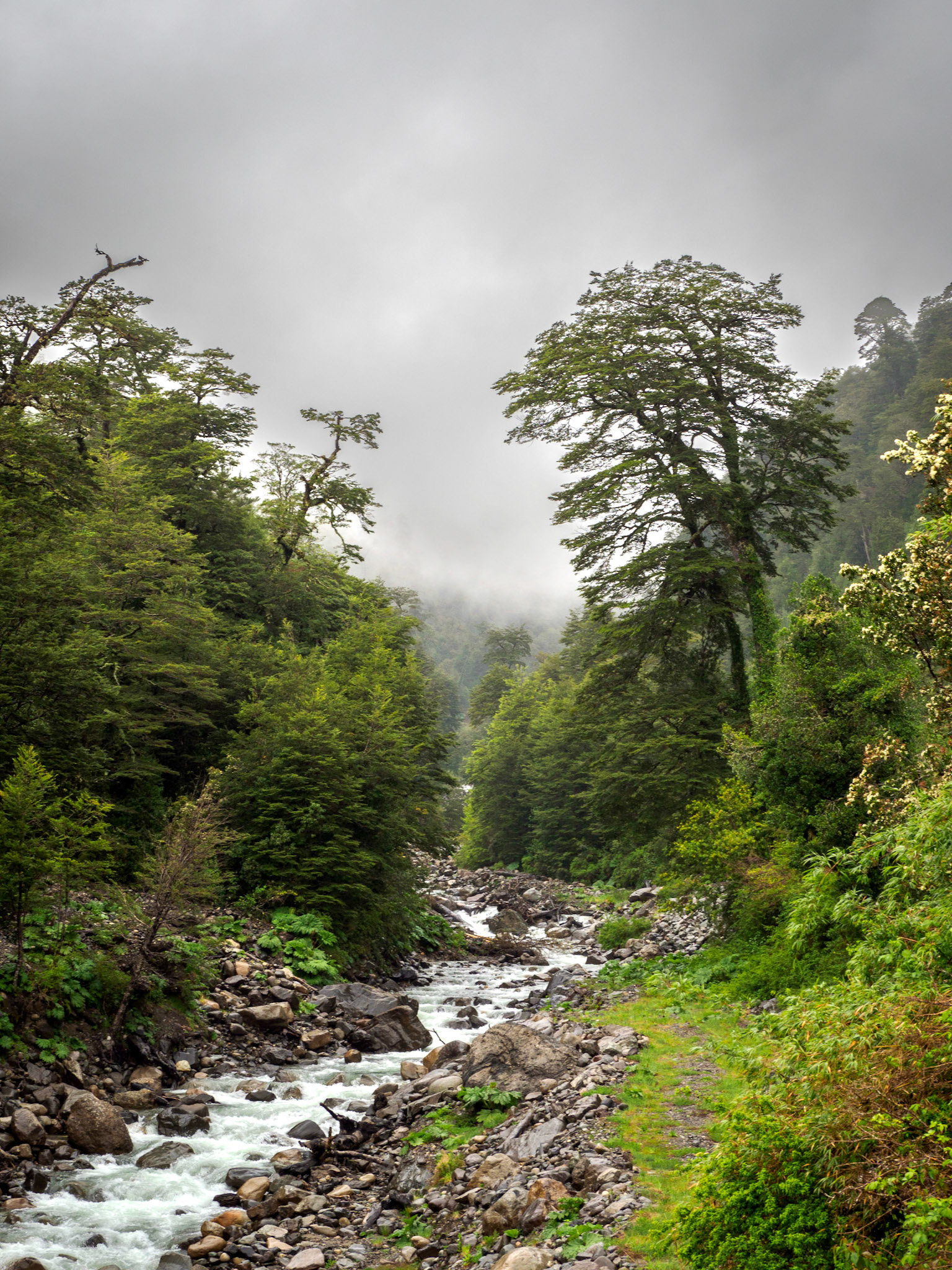 Fluss an der Carretera Austral