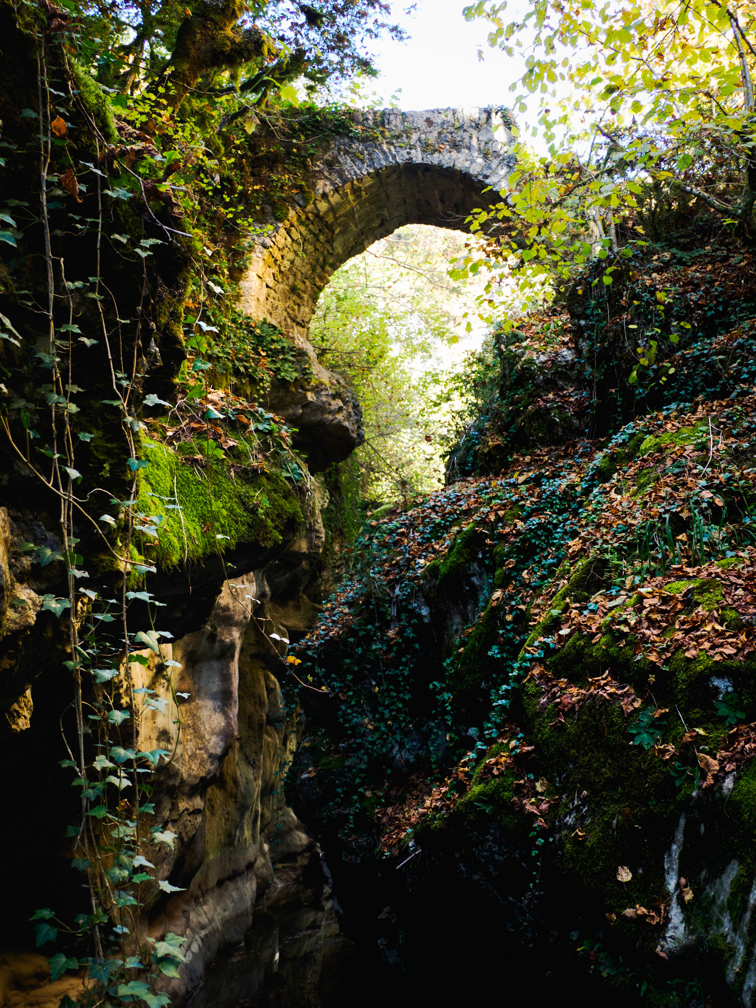 Brücke in der Nähe des Cañon de Añisclo