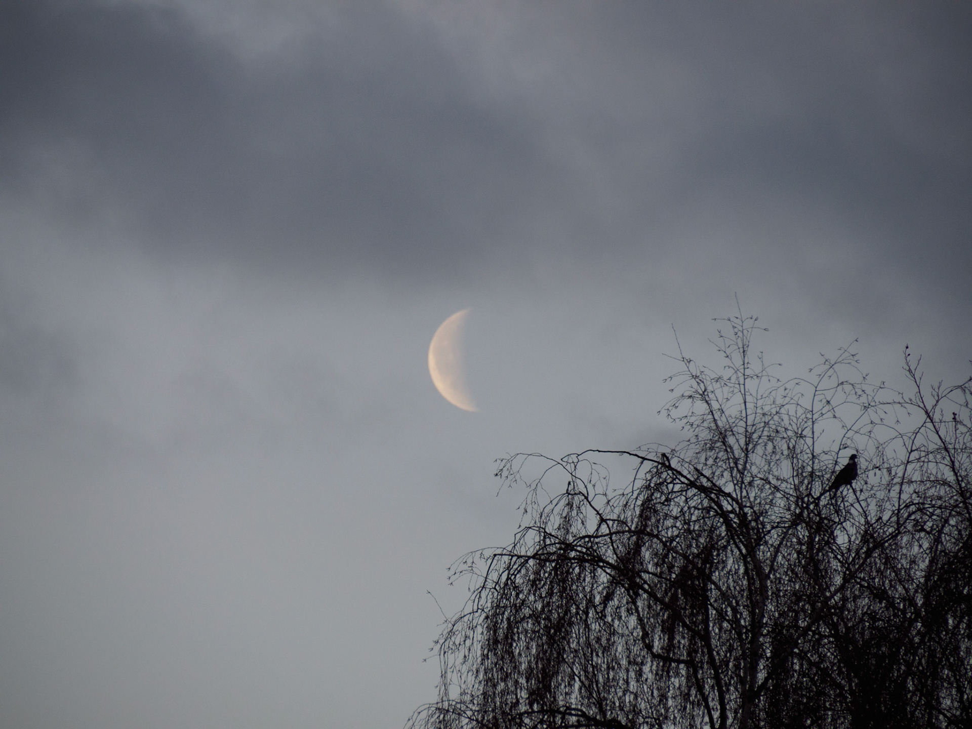 Blick von unserem Balkon