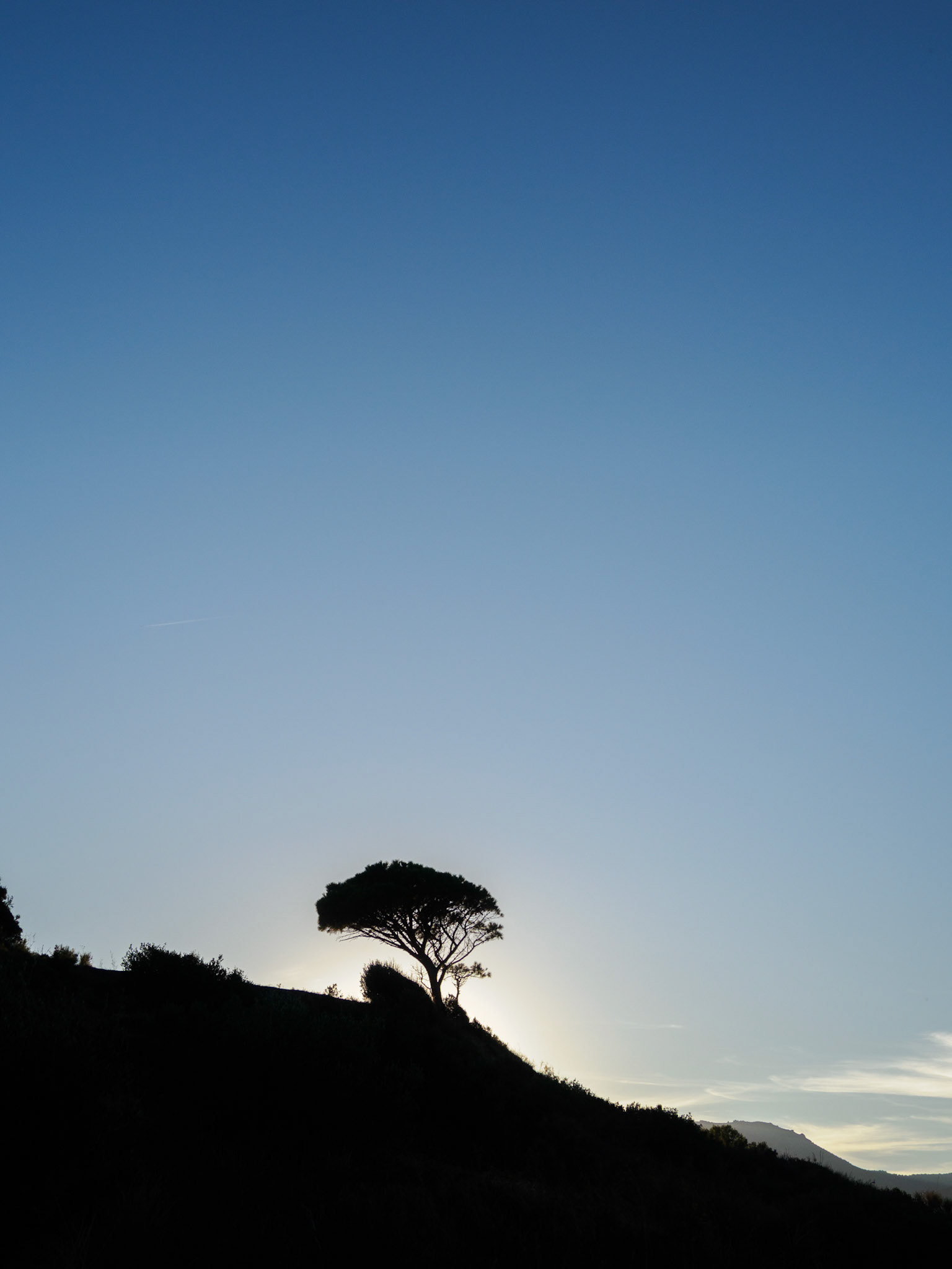 Blaue Stunde bei Banyuls-sur-Mer
