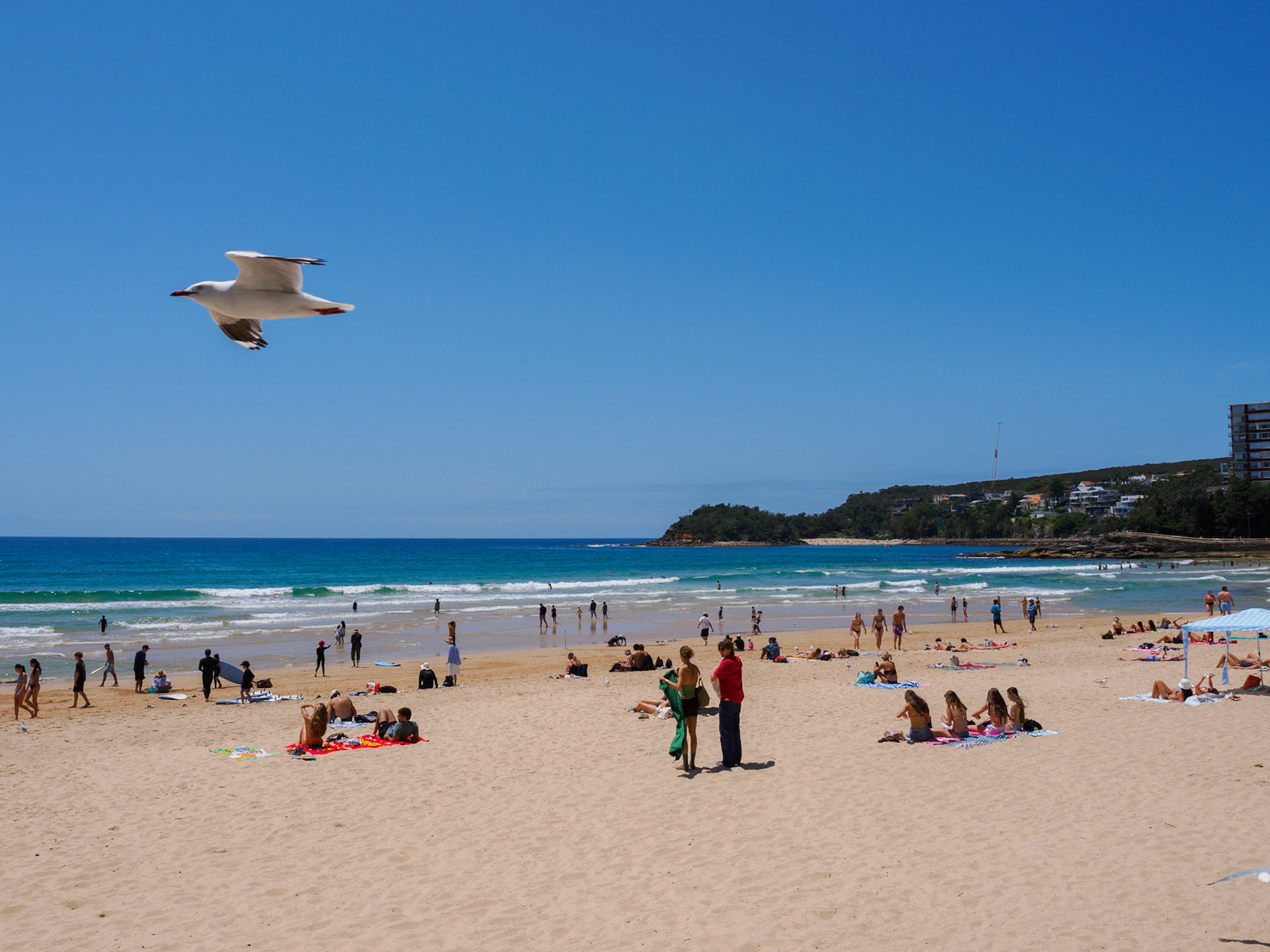 Manly Beach