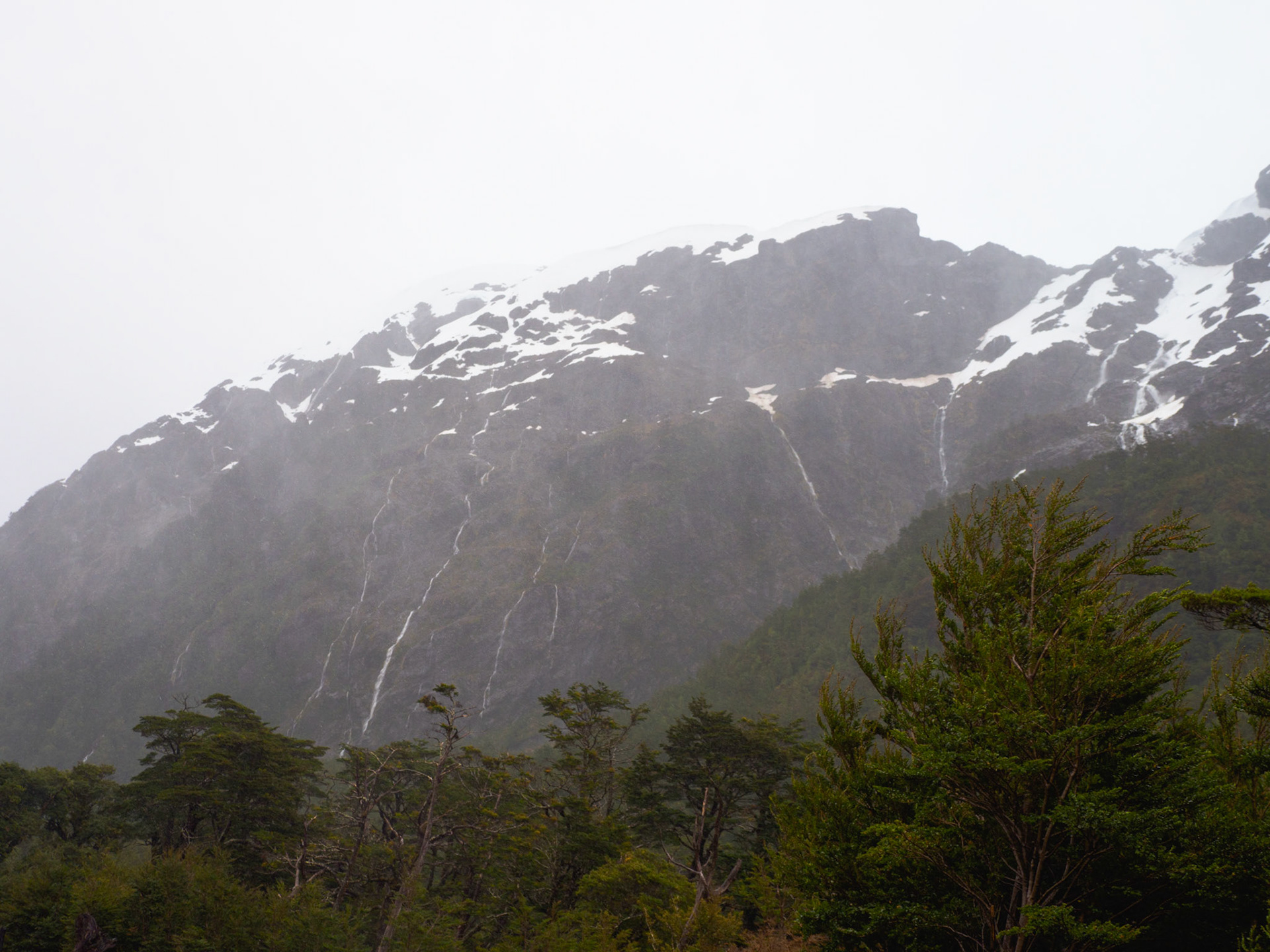 Regen an der Carretera Austral