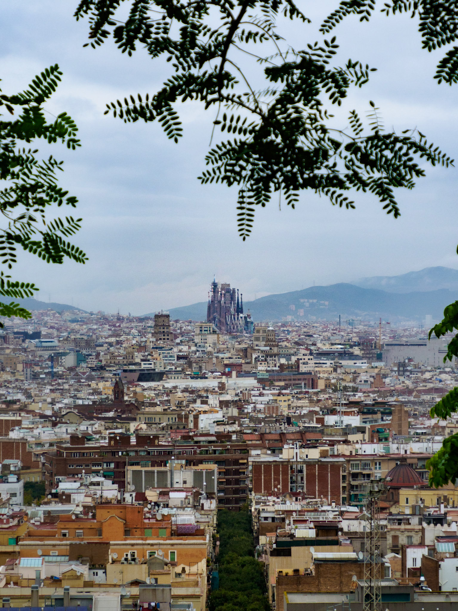 Ausblick vom Olympiaberg auf die Sagrada Família