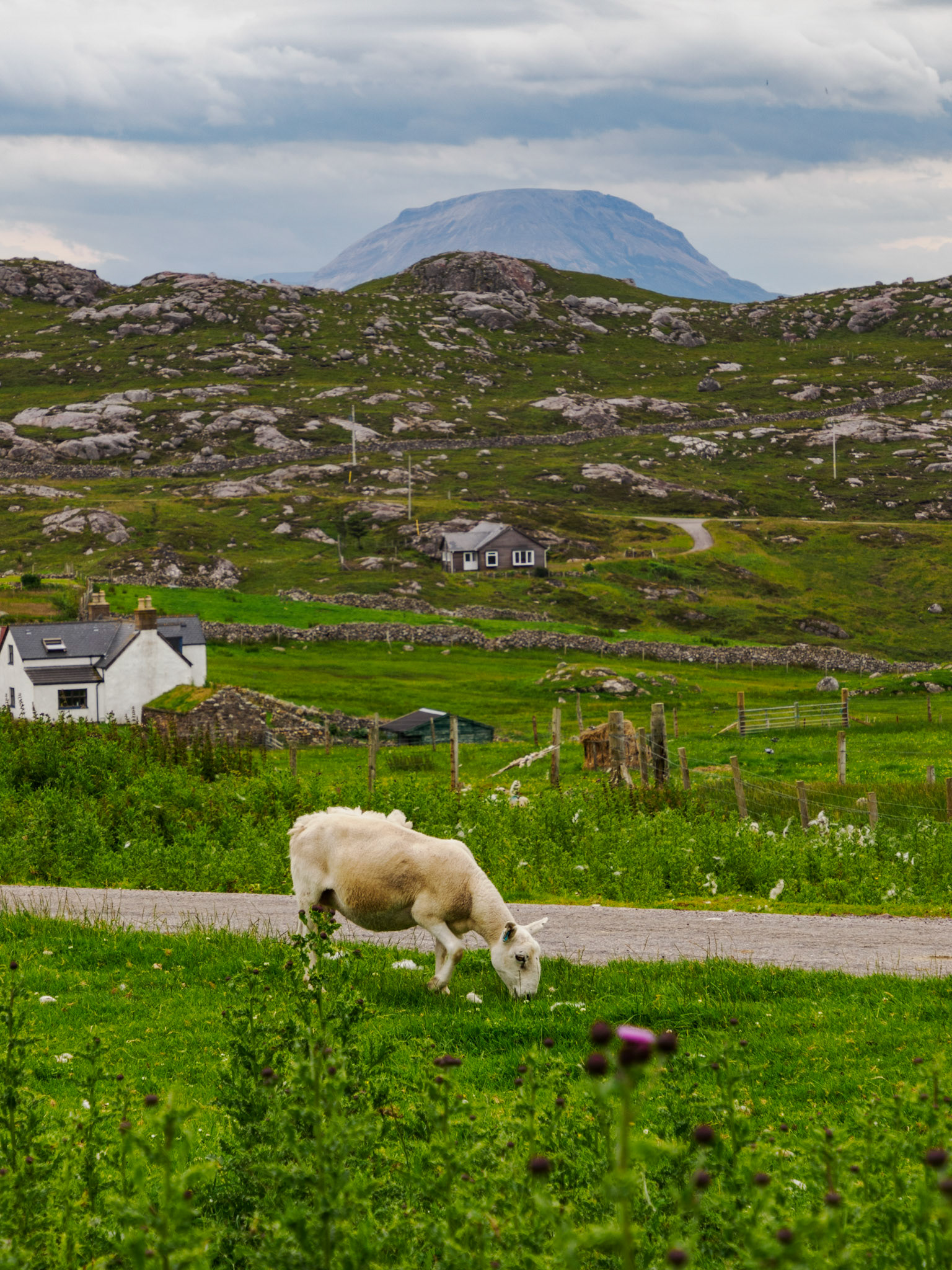 Wanderung nach Sandwood Bay