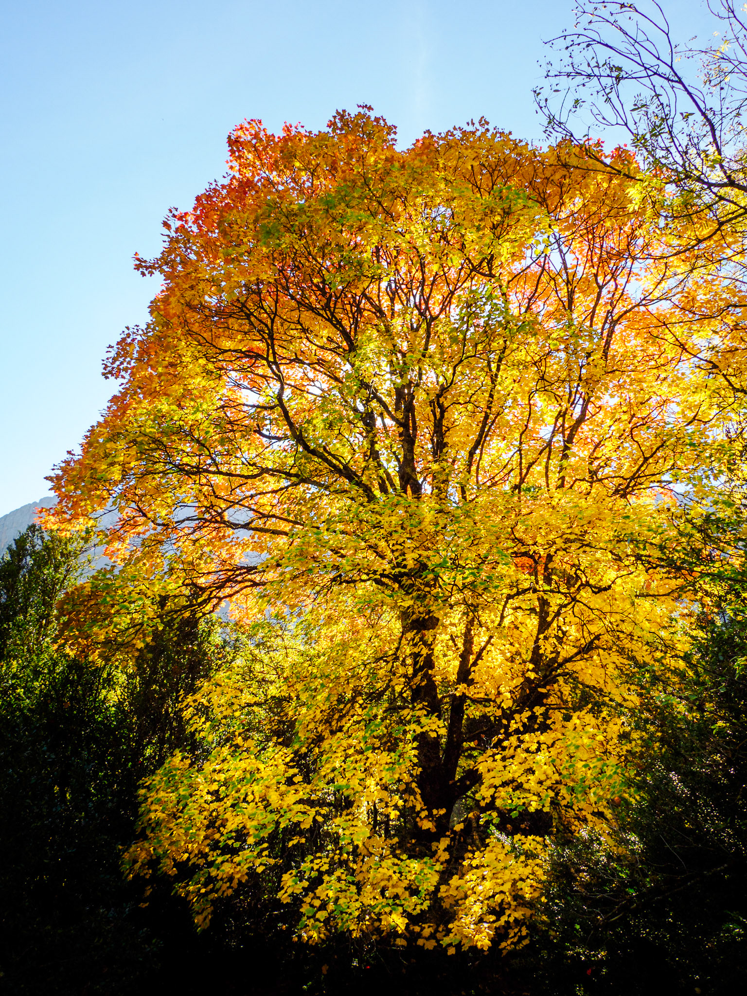 Wanderung von Escuain zum Rio Yaga