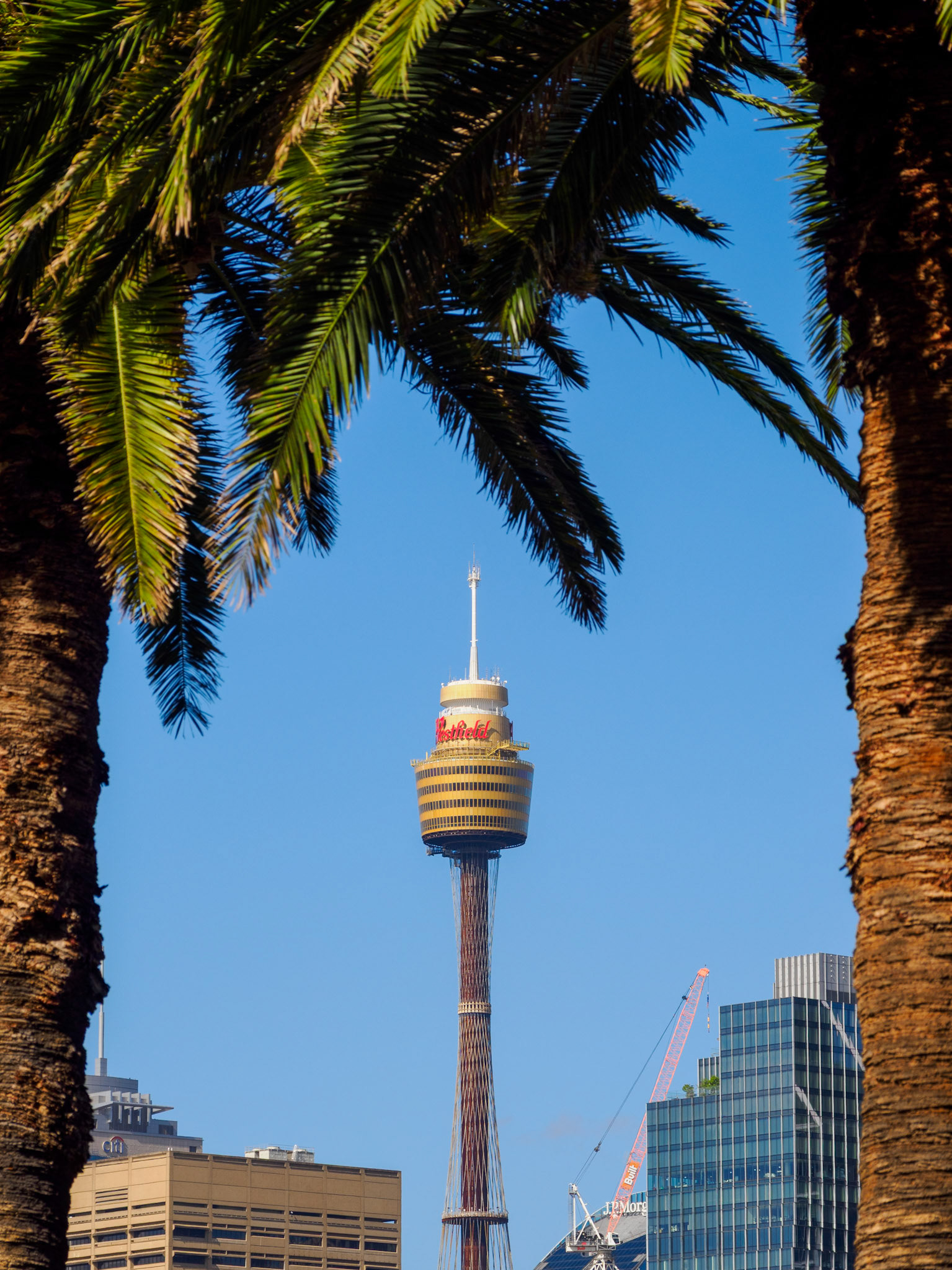 Sydney Tower