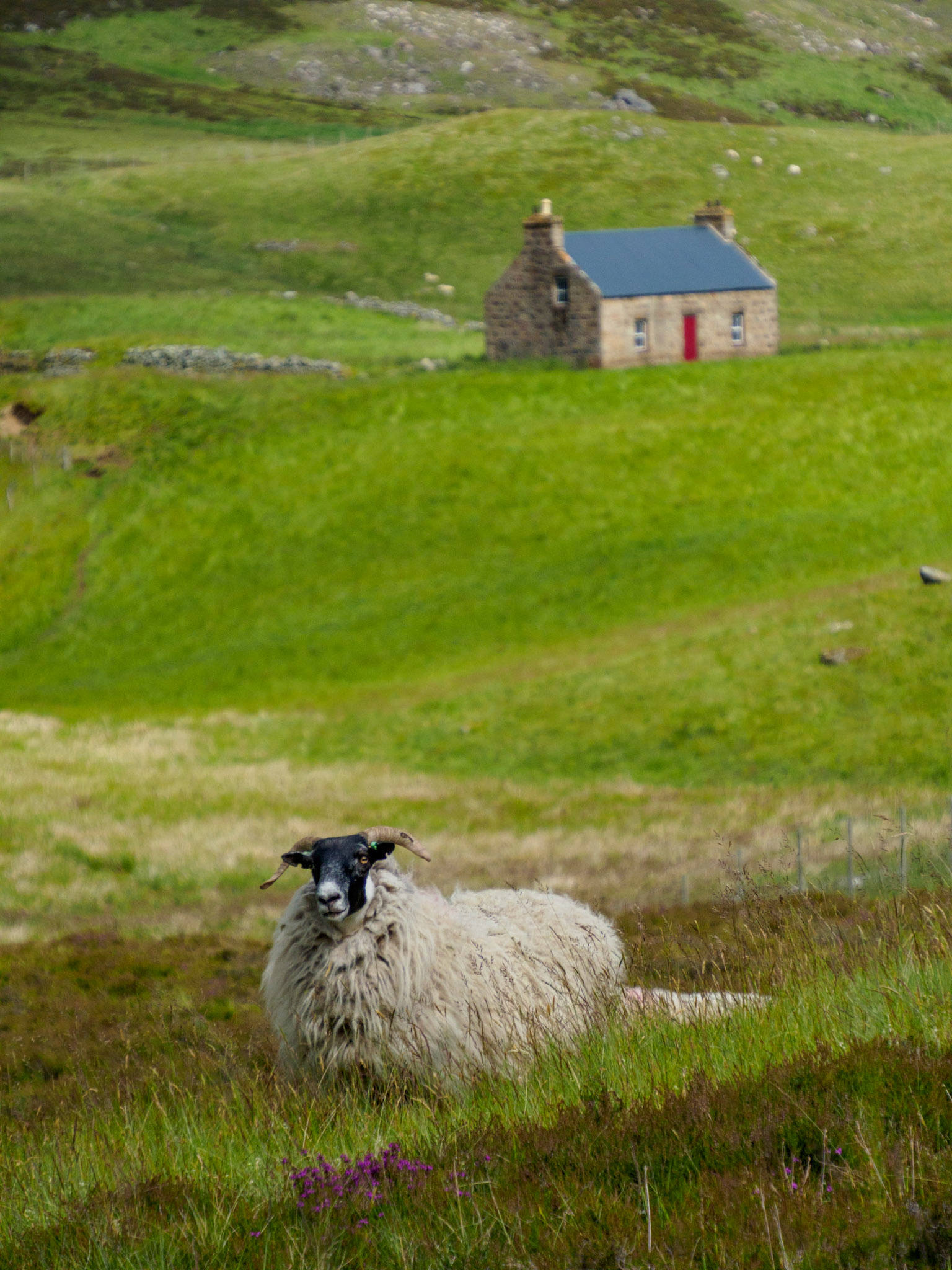 Entlang der Straße nach Braemar - Southern Cairngorms