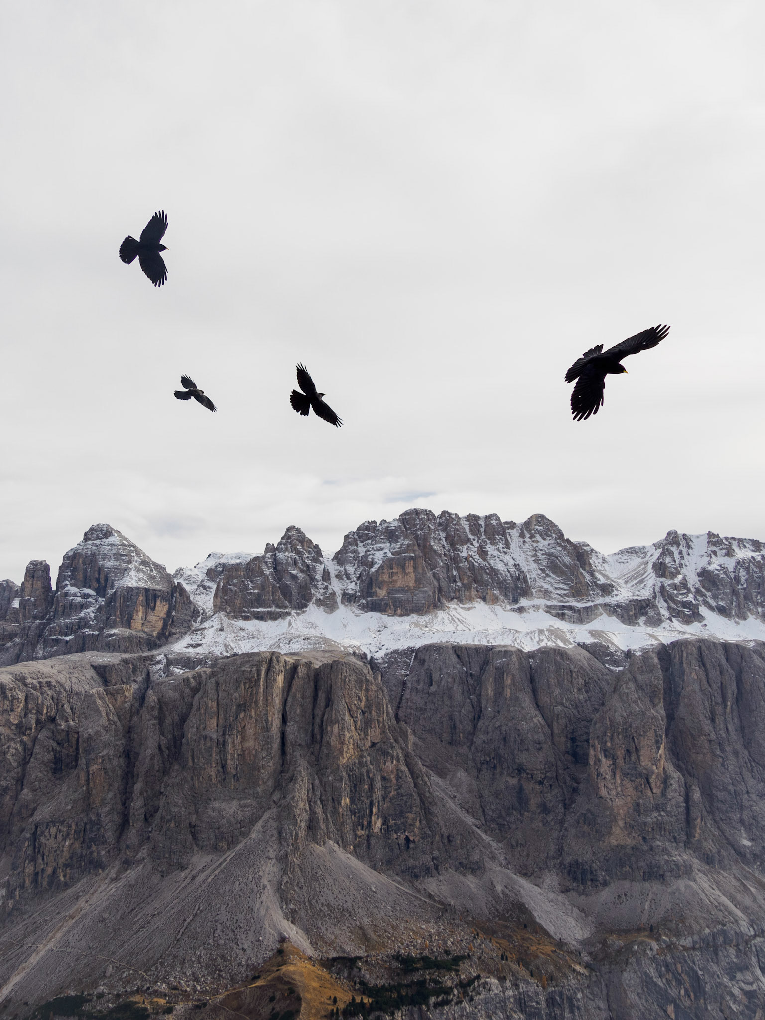 Klettern auf den Cirspitzen