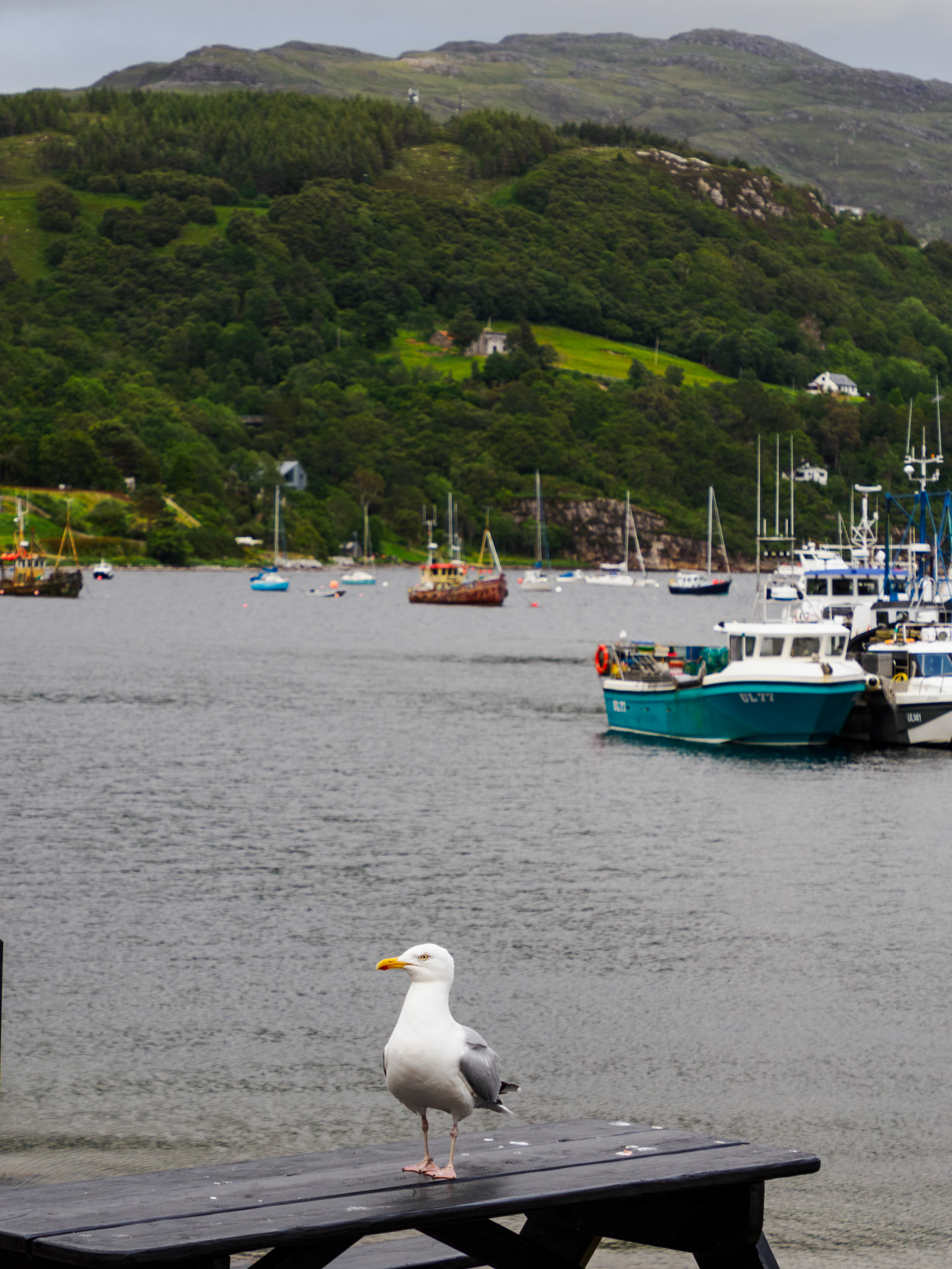 Ullapool