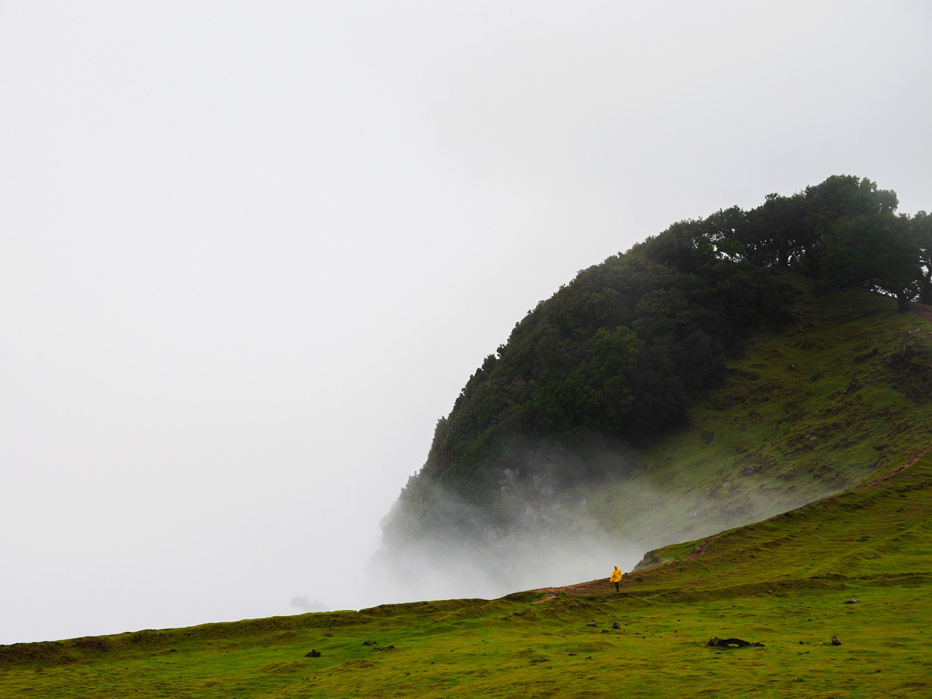 Nebel am Fanalwald