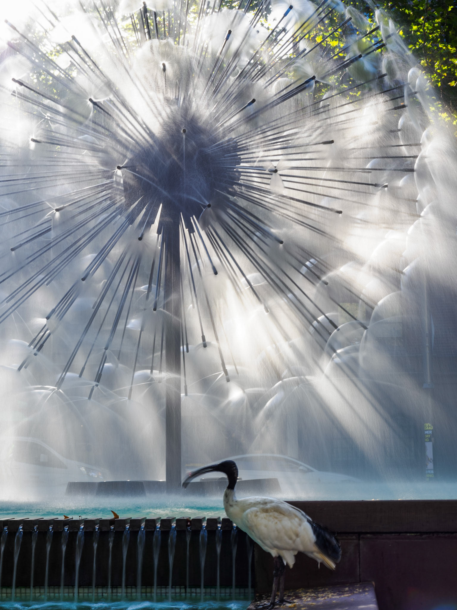 Australibis vor 'El Alamein Fountain'