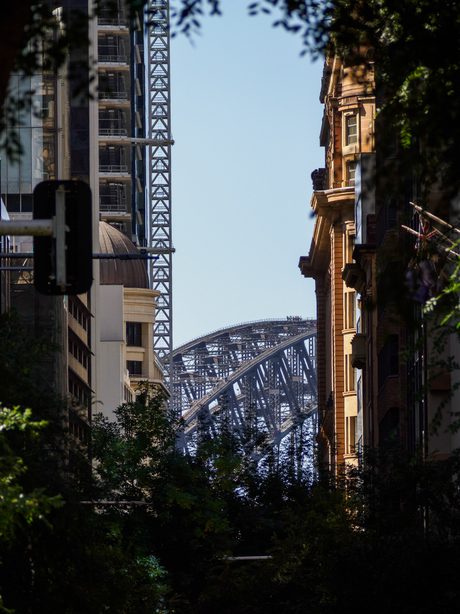 Blick aus dem CBD auf die Harbour Bridge