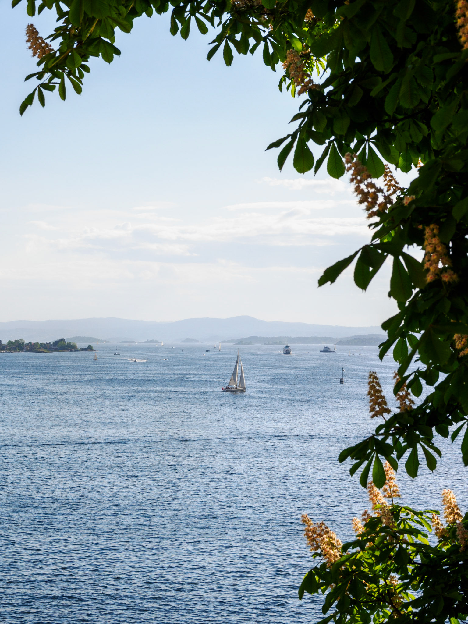 Blick auf den Oslofjord
