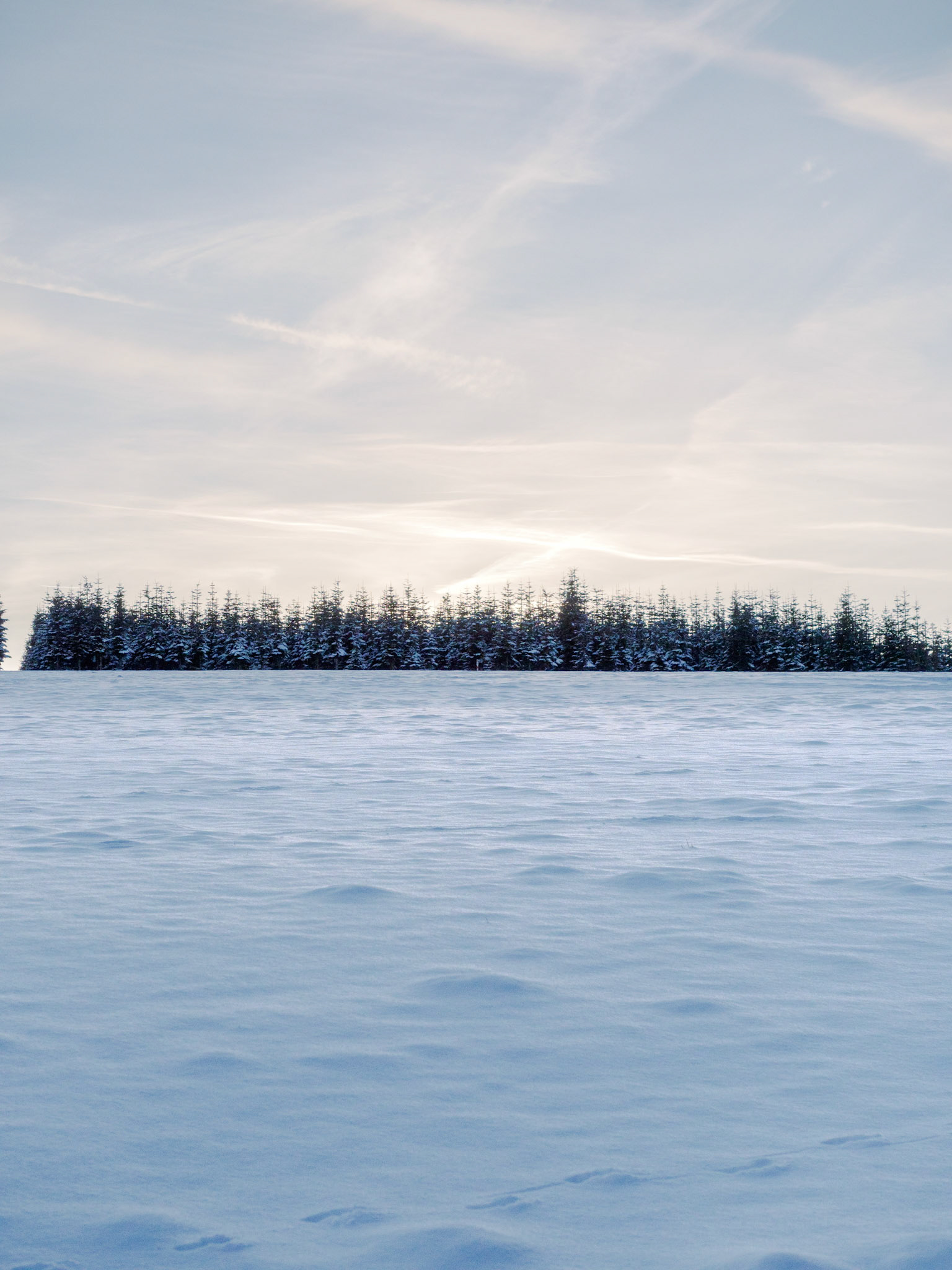 Auf den Bergen bei Grönebach, Winterberg
