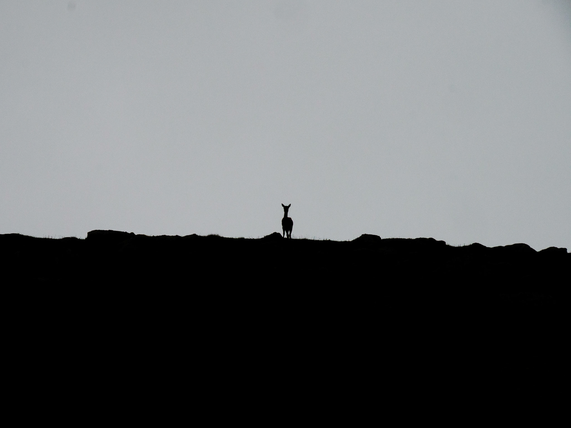 Wanderung zum Dubh Loch