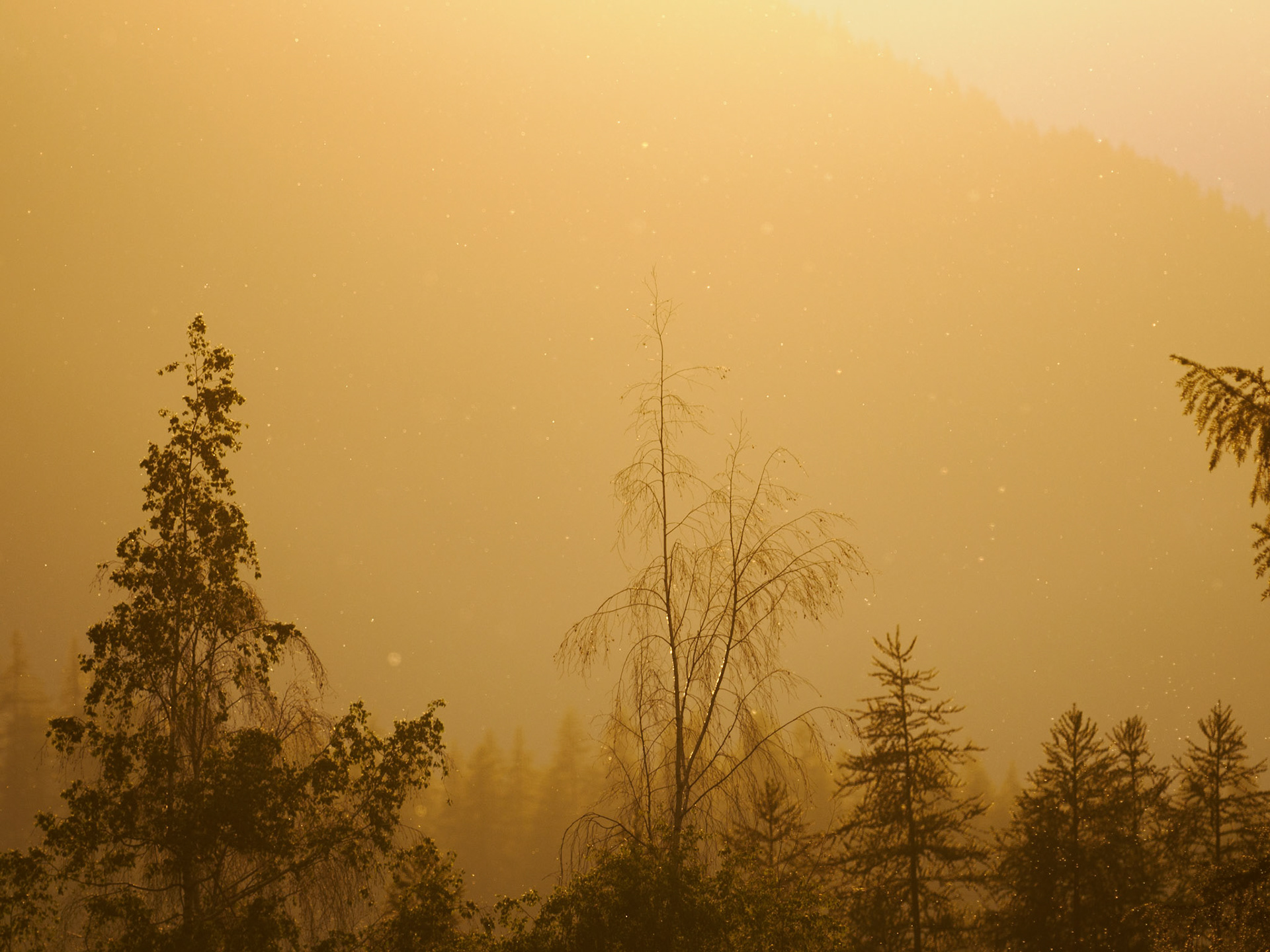 Sonnenuntergang im Tal Peisey-Nancroix