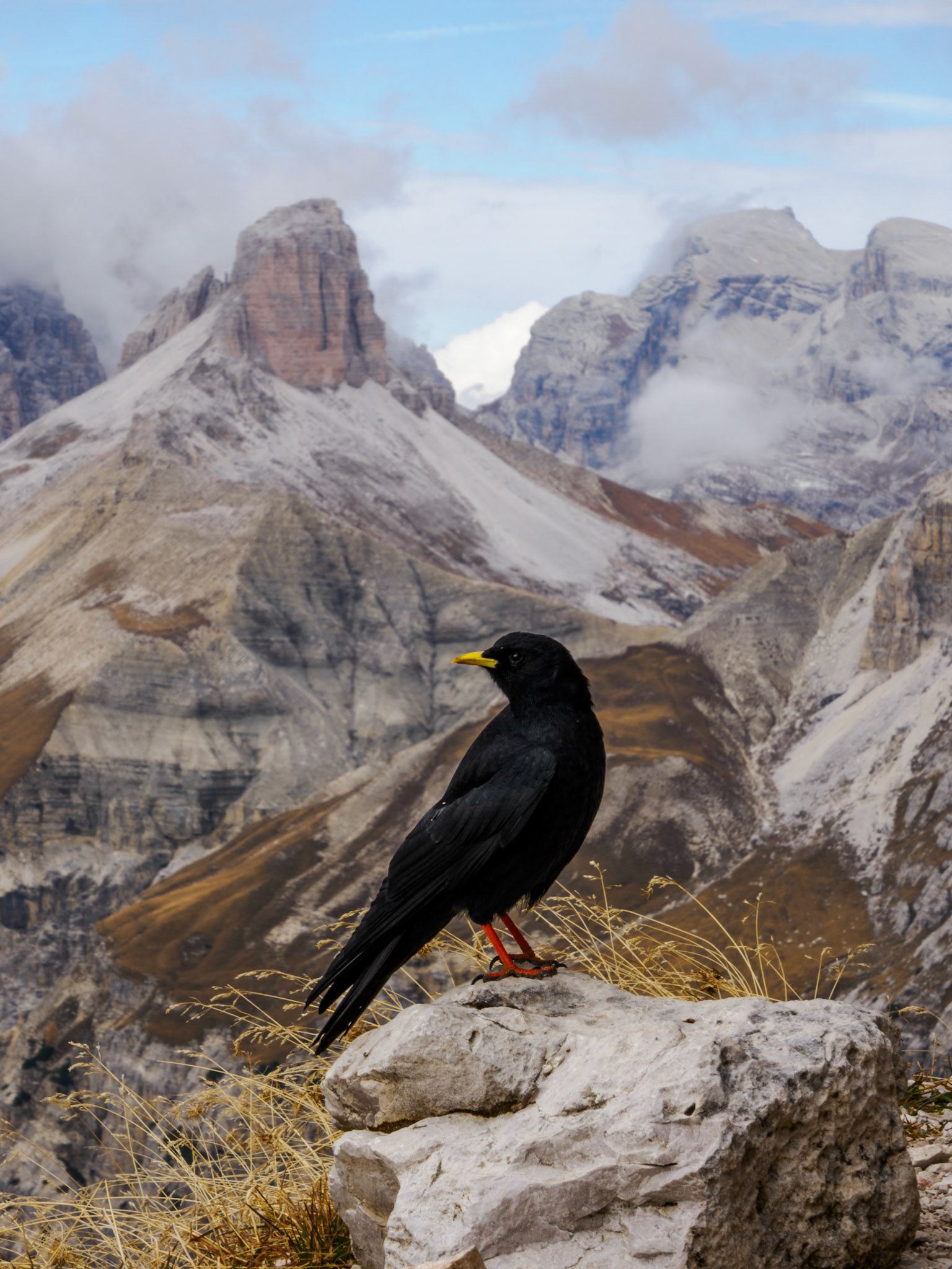 Wanderung um die Drei Zinnen