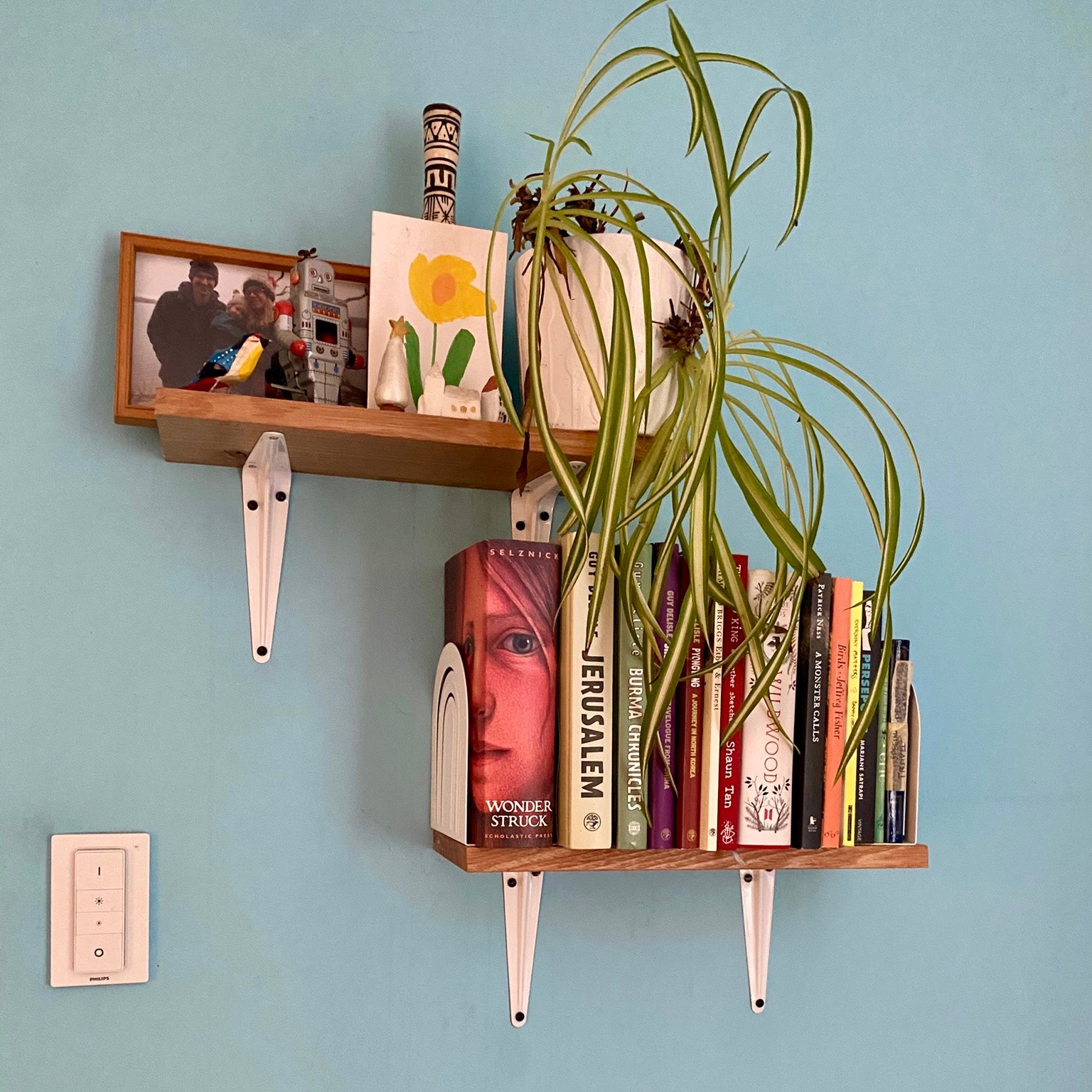 Custom wall sheling