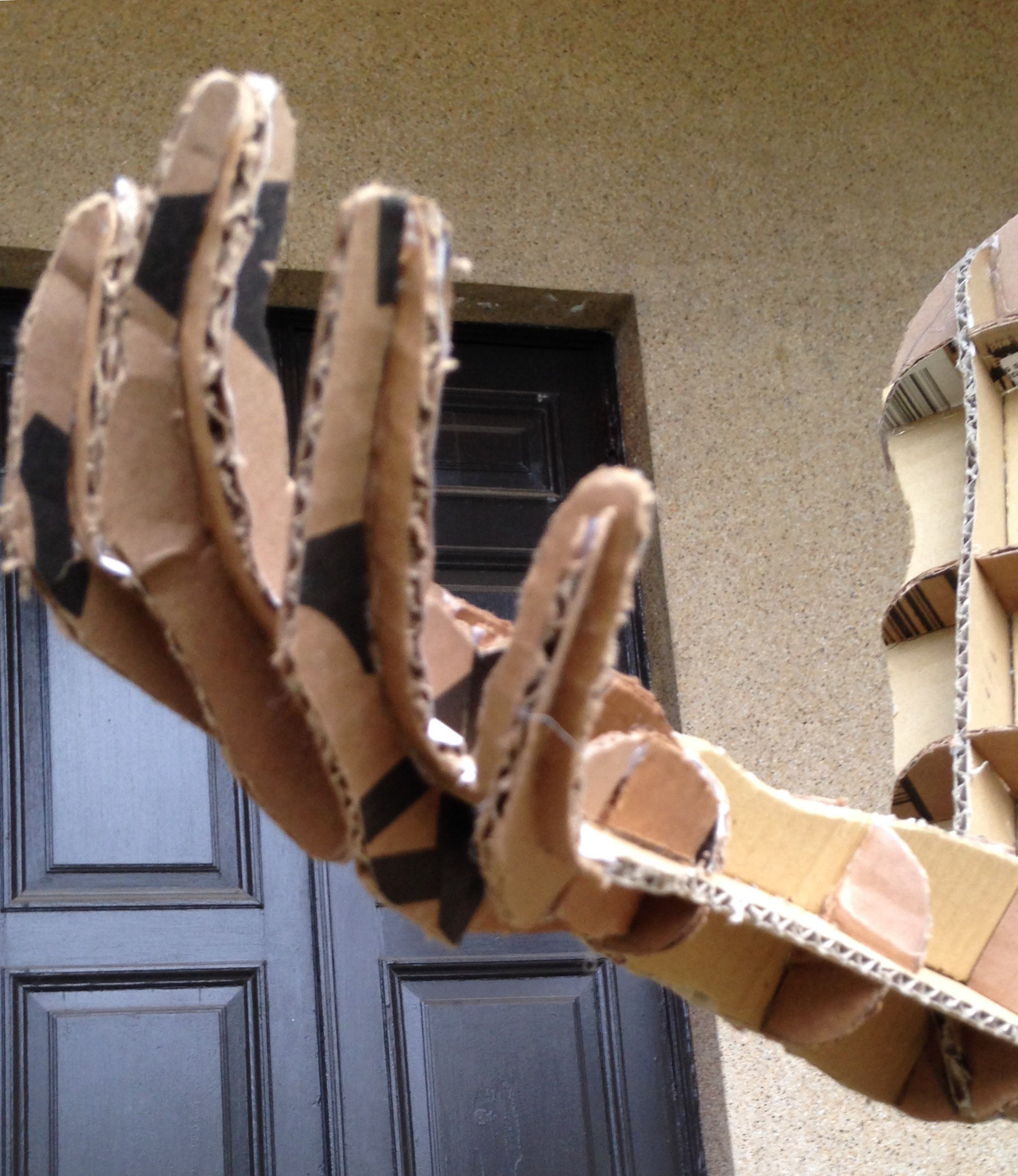 Backside of Hand Close-up