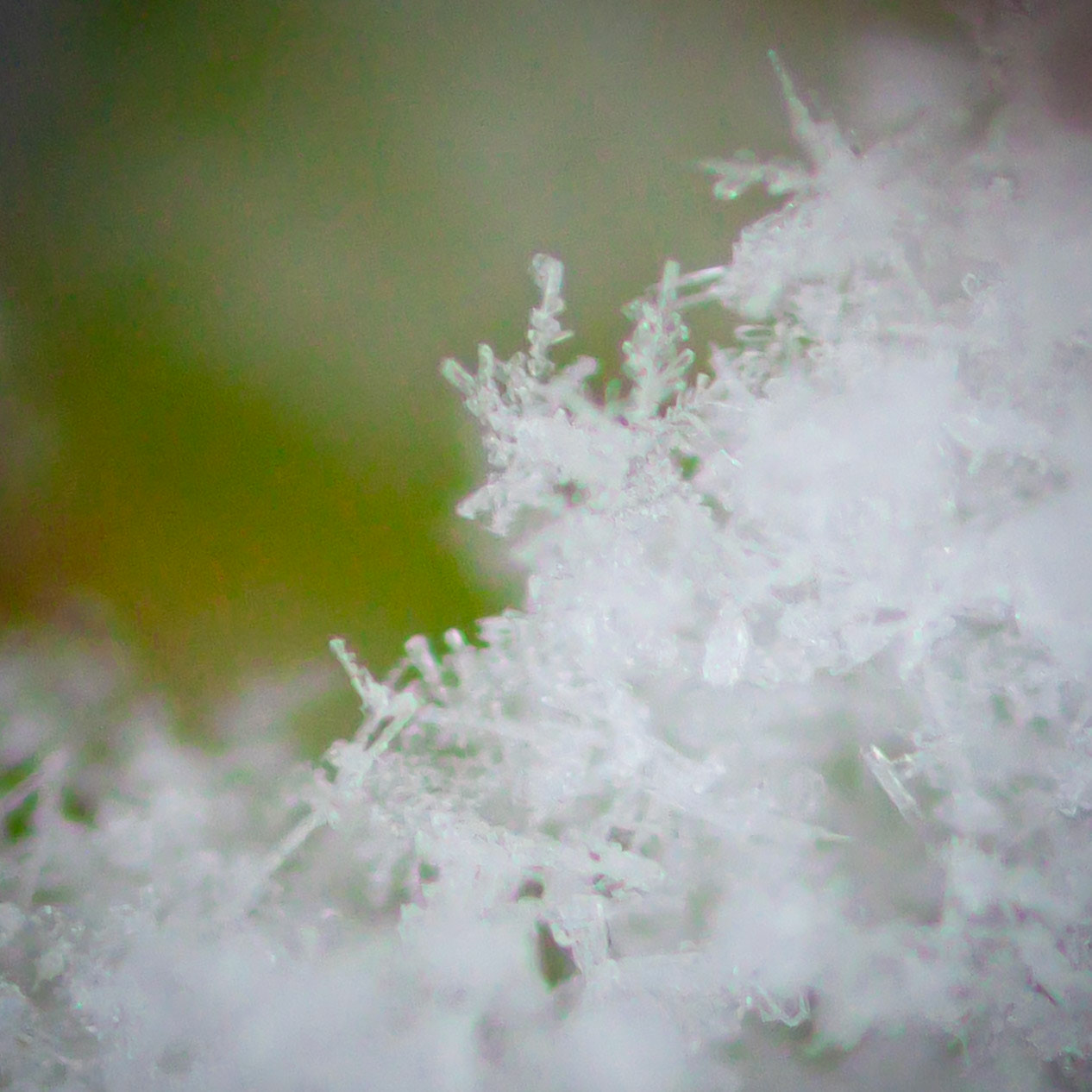 First Snow | 12.06.23 | Marblehead, MA