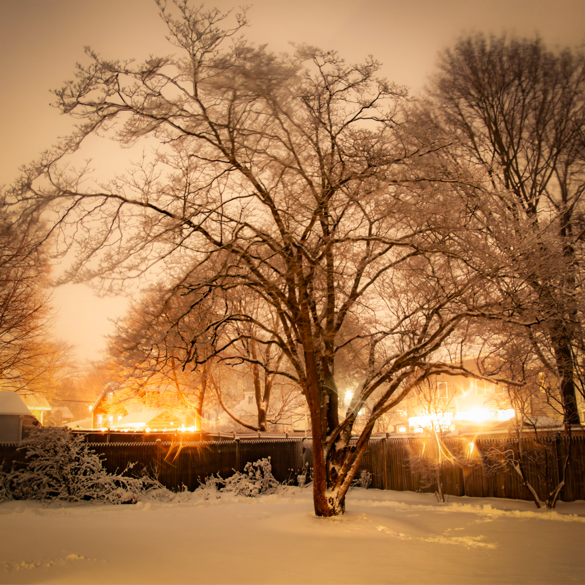 Snow Storm | Jan 07, 2024 | Marblehead, MA