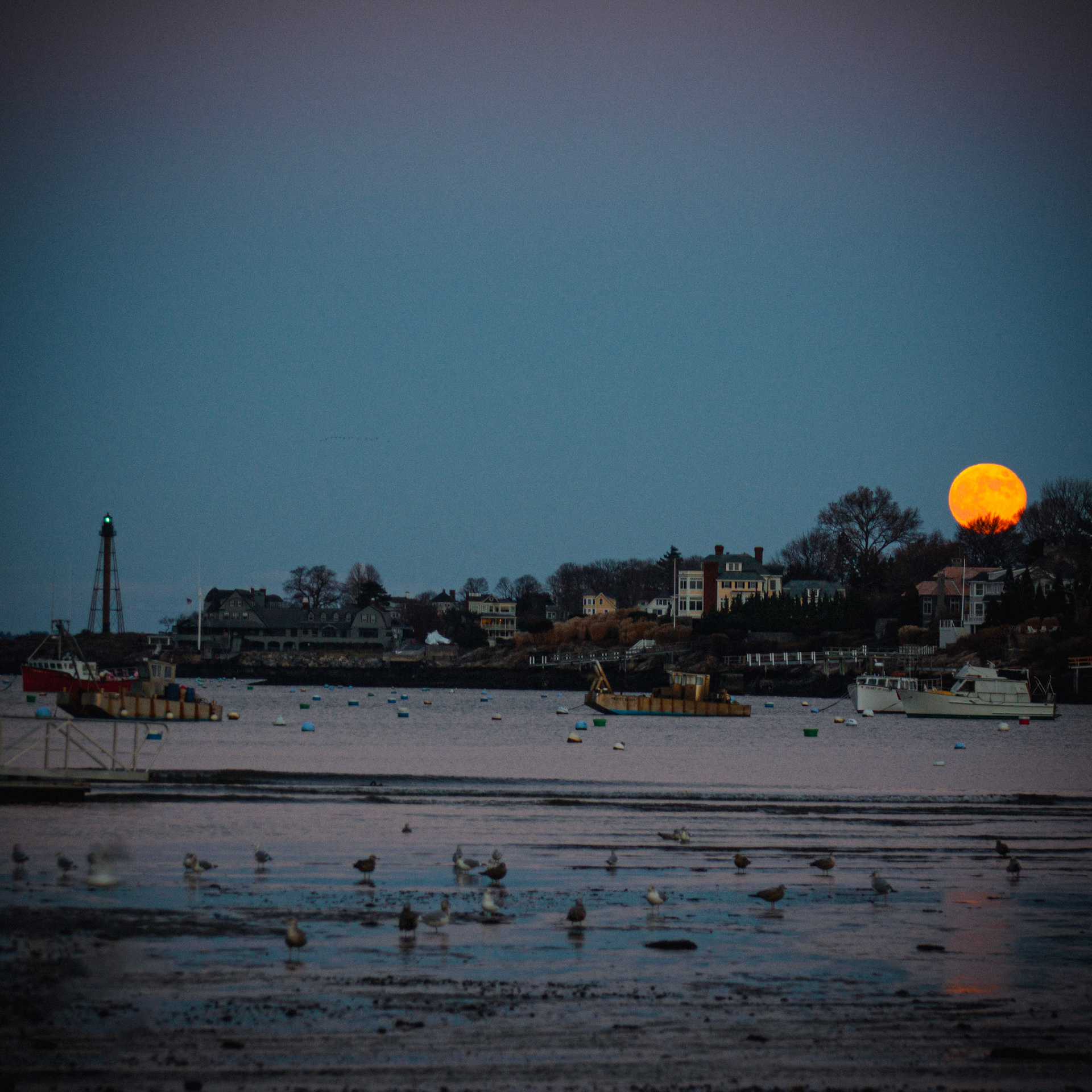 Beaver Moon | Marblehead, MA | 11.27.23