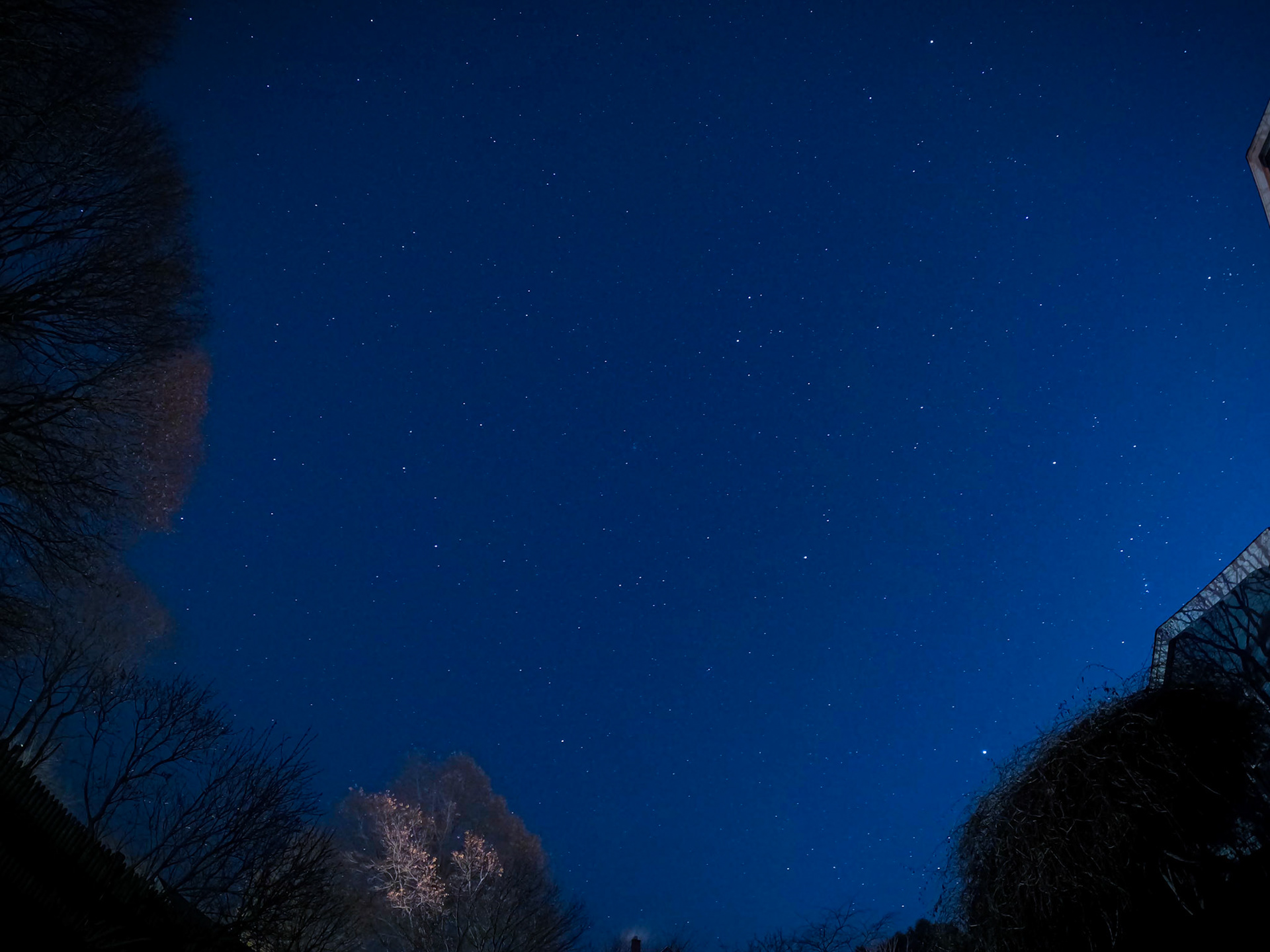 Starry Night | Dec 7, 2023 | Marblehead, MA