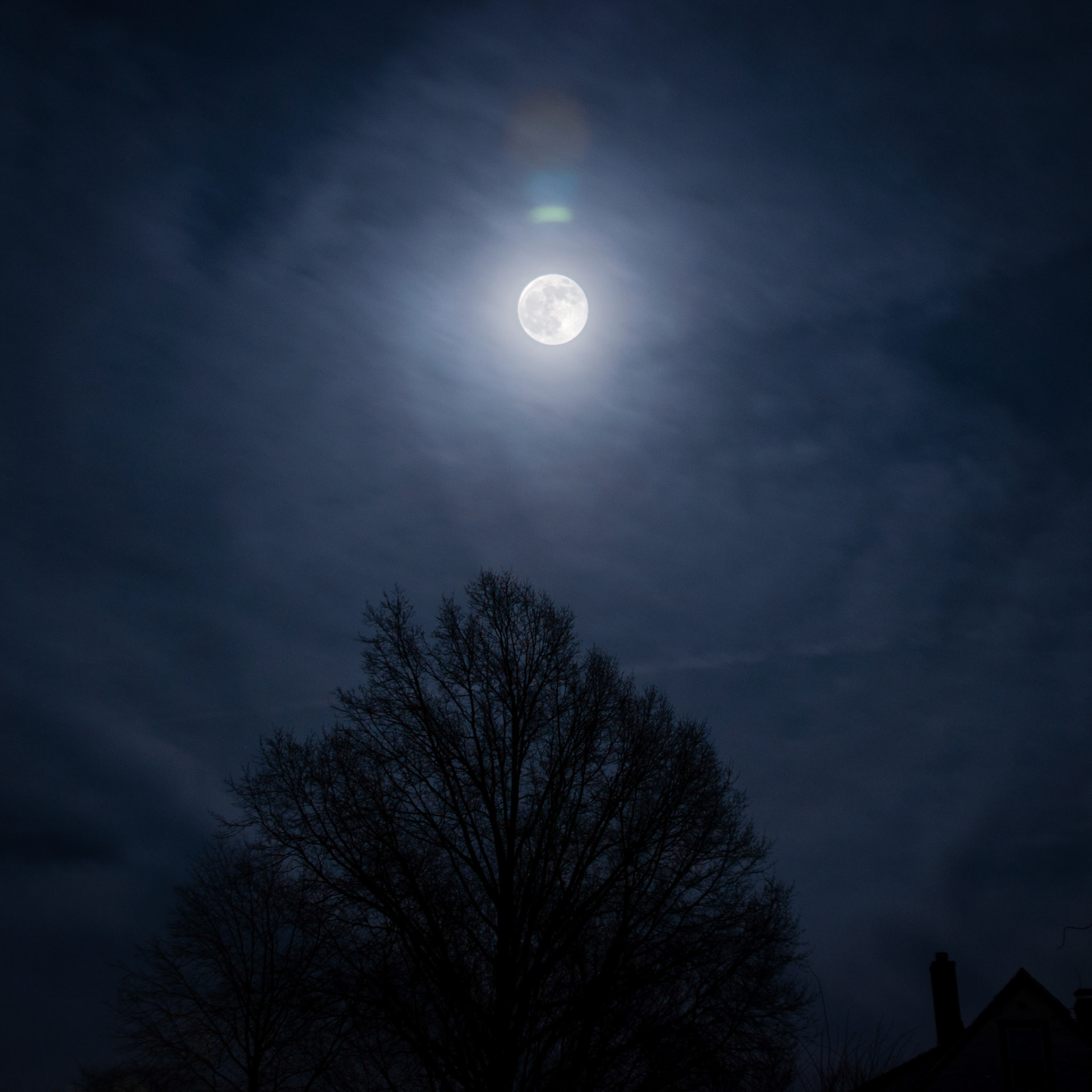Worm Moon | March 24, 2024 | Marblehead, MA