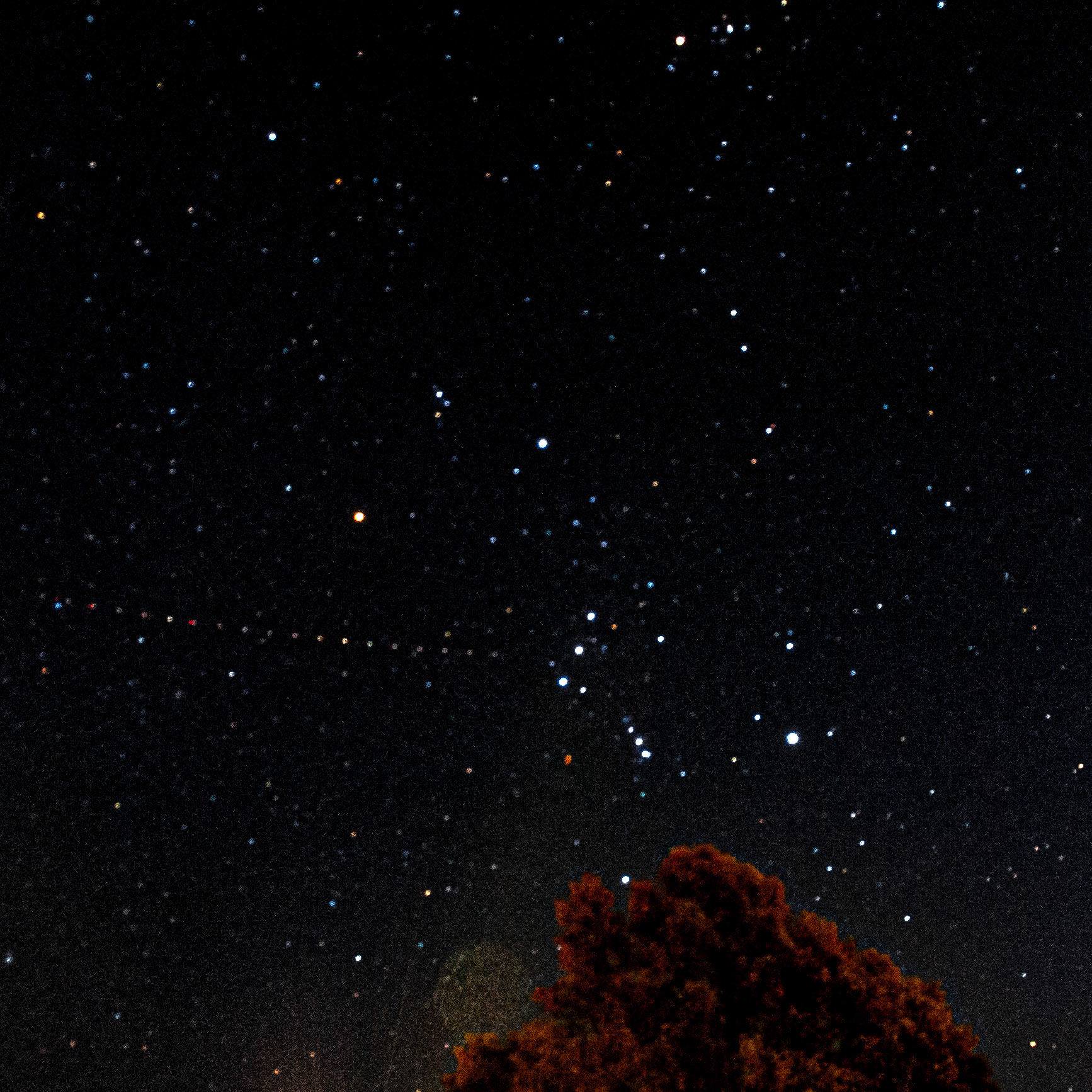 Orion | Marblehead, MA | 11.14.23
