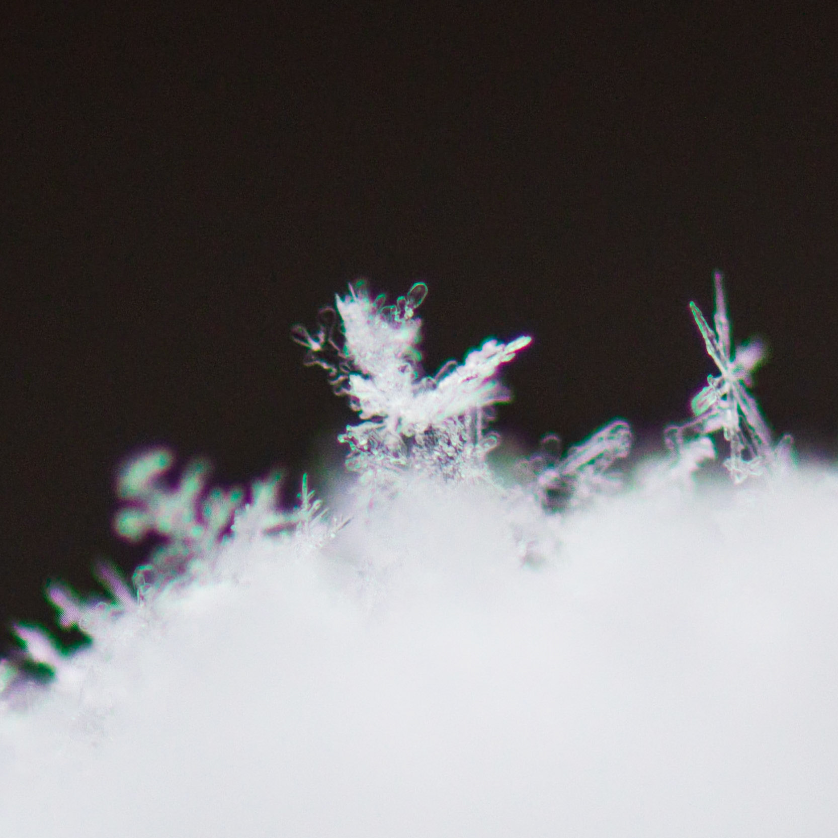 First Snow | 12.06.23 | Marblehead, MA